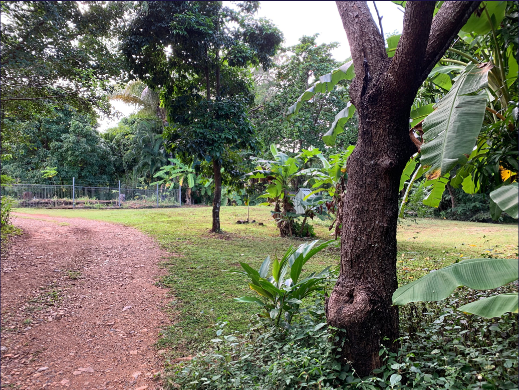 Nourishing Gardens and Bird Haven