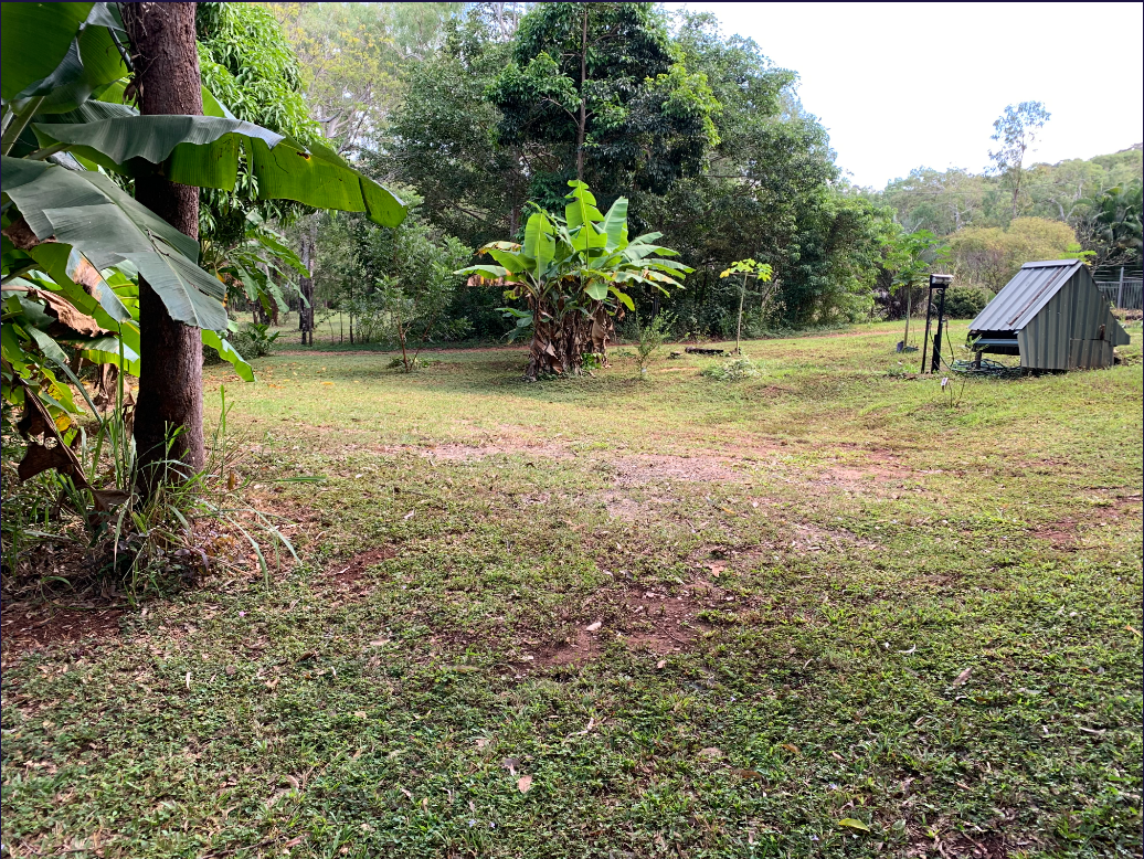 Banana Edge Caravan Site 2
