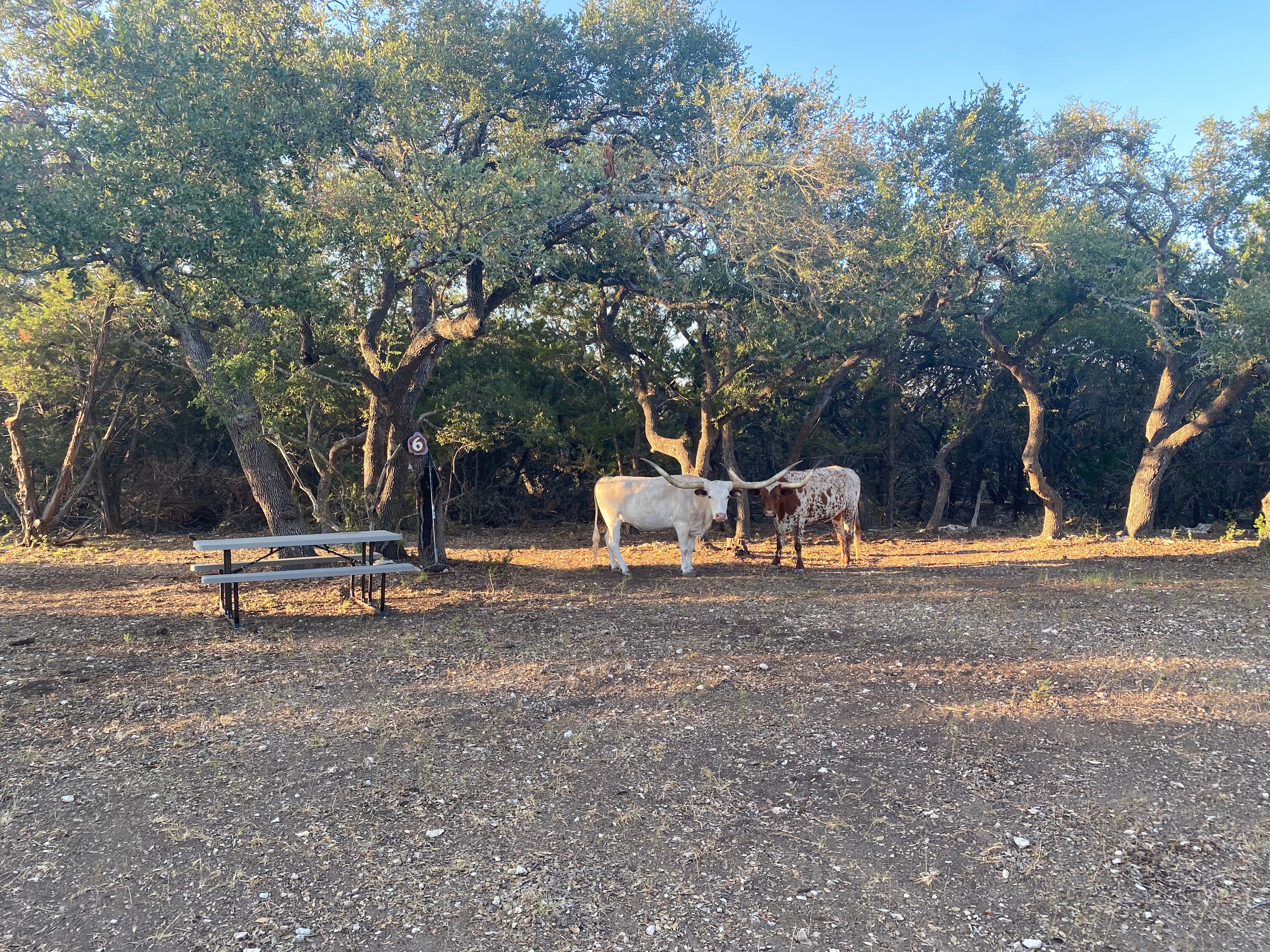 Longhorn Getaway Campgrounds