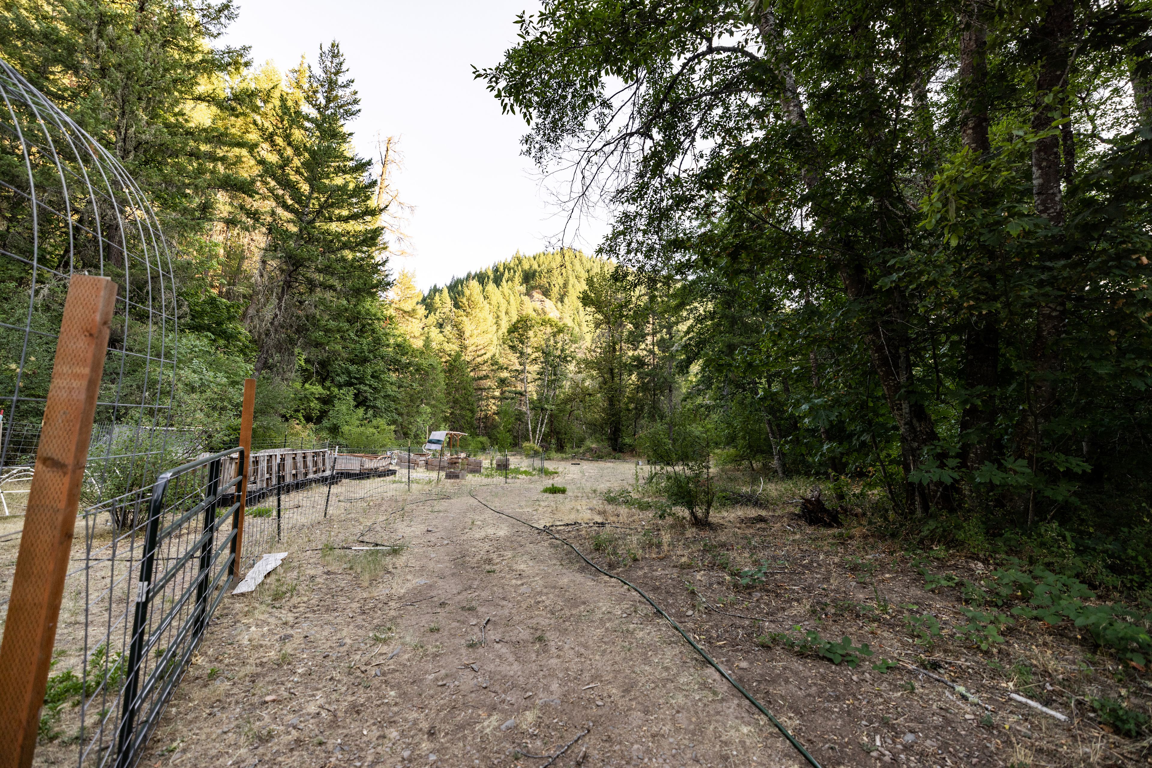 Creek-Front Sanctuary x Crater Lake