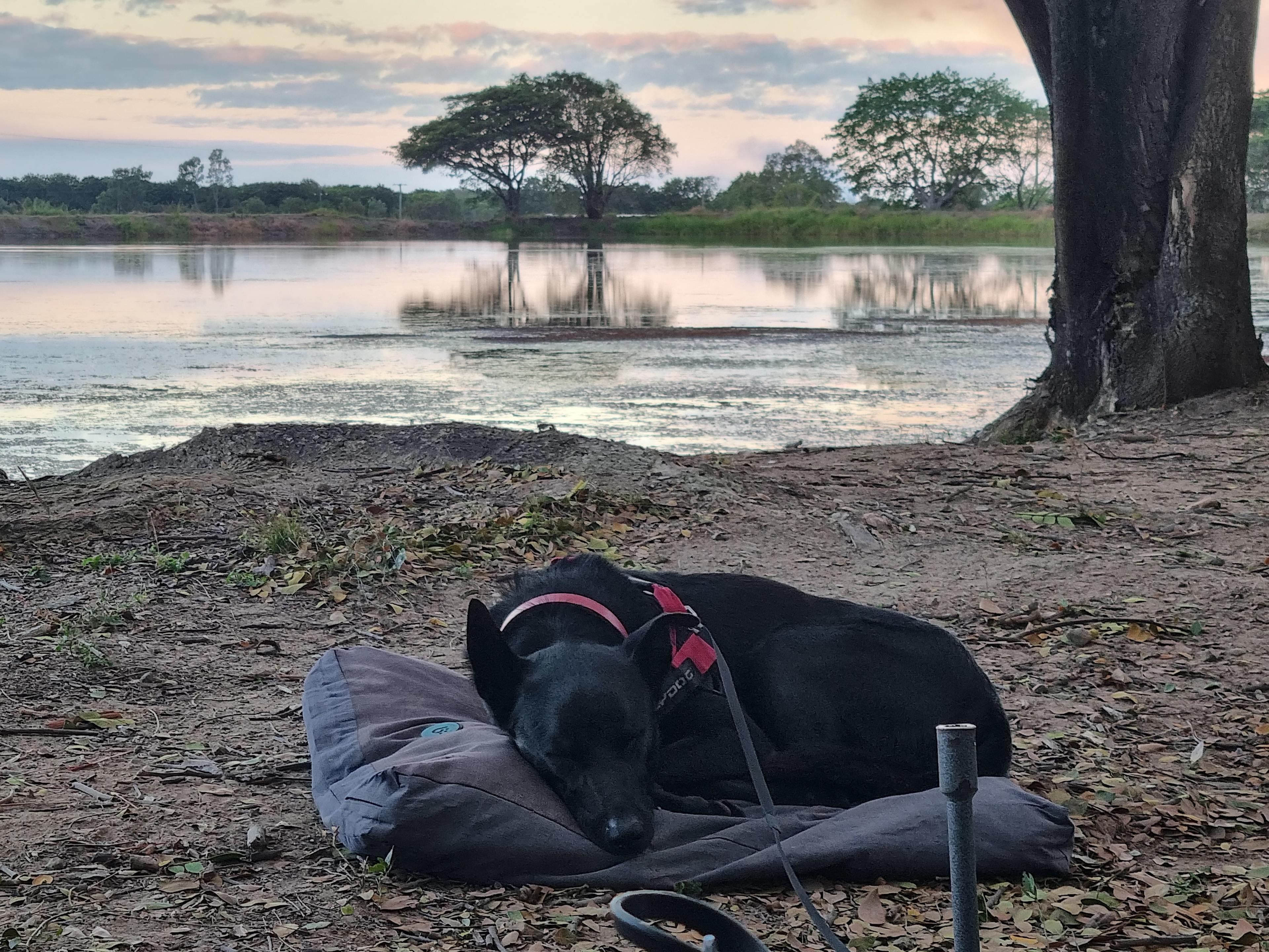 Mount Surround Campground