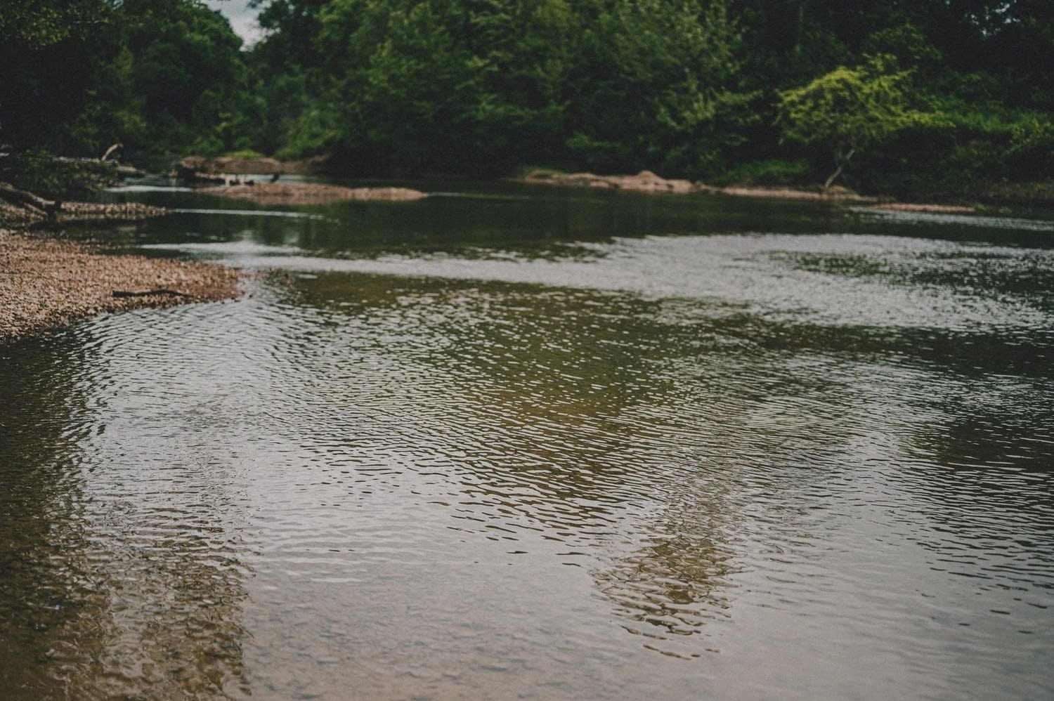 Soggy Bottoms Campground