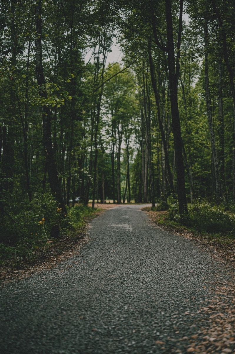 Soggy Bottoms Campground