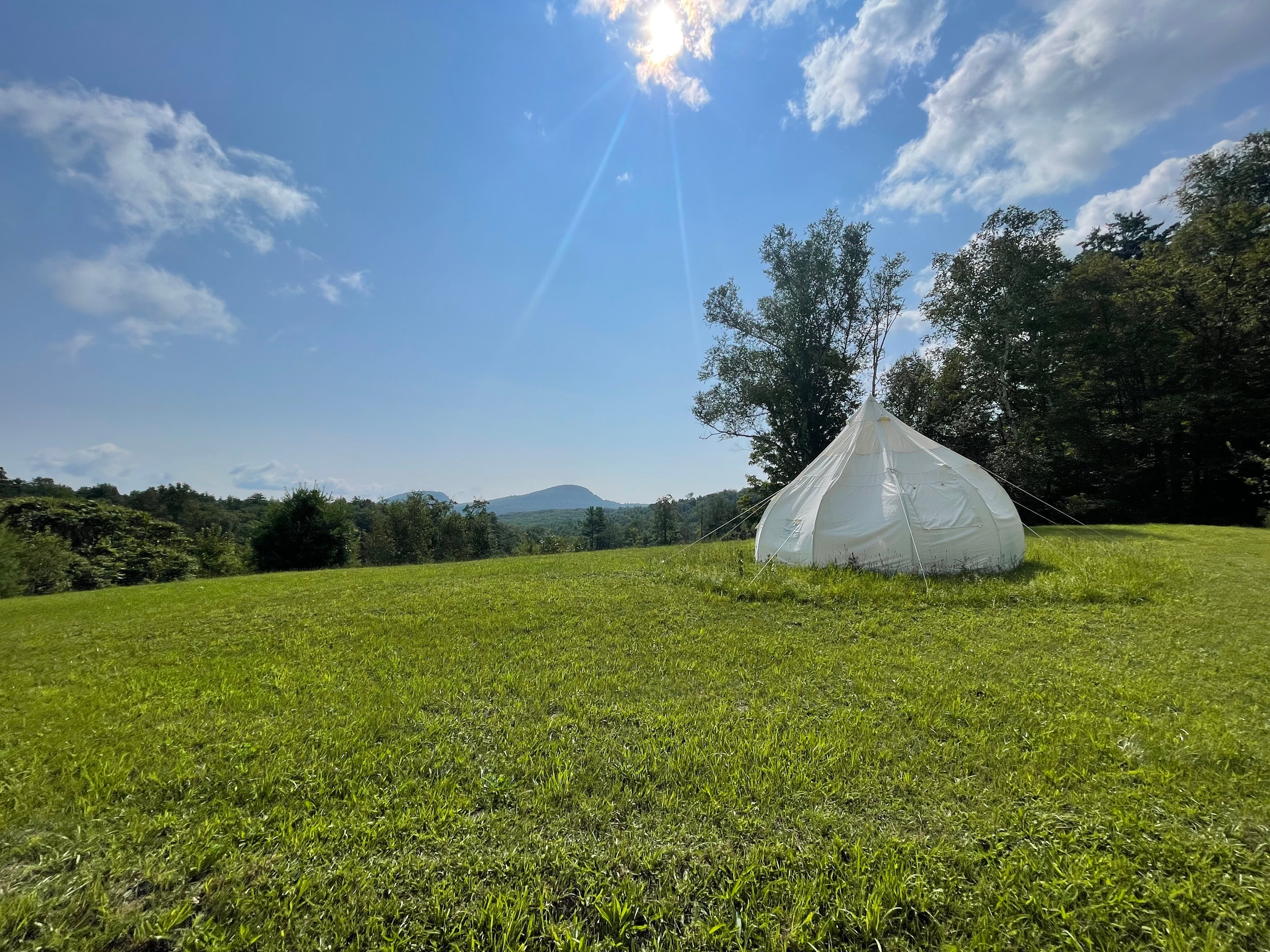 Wild Woods Ranch