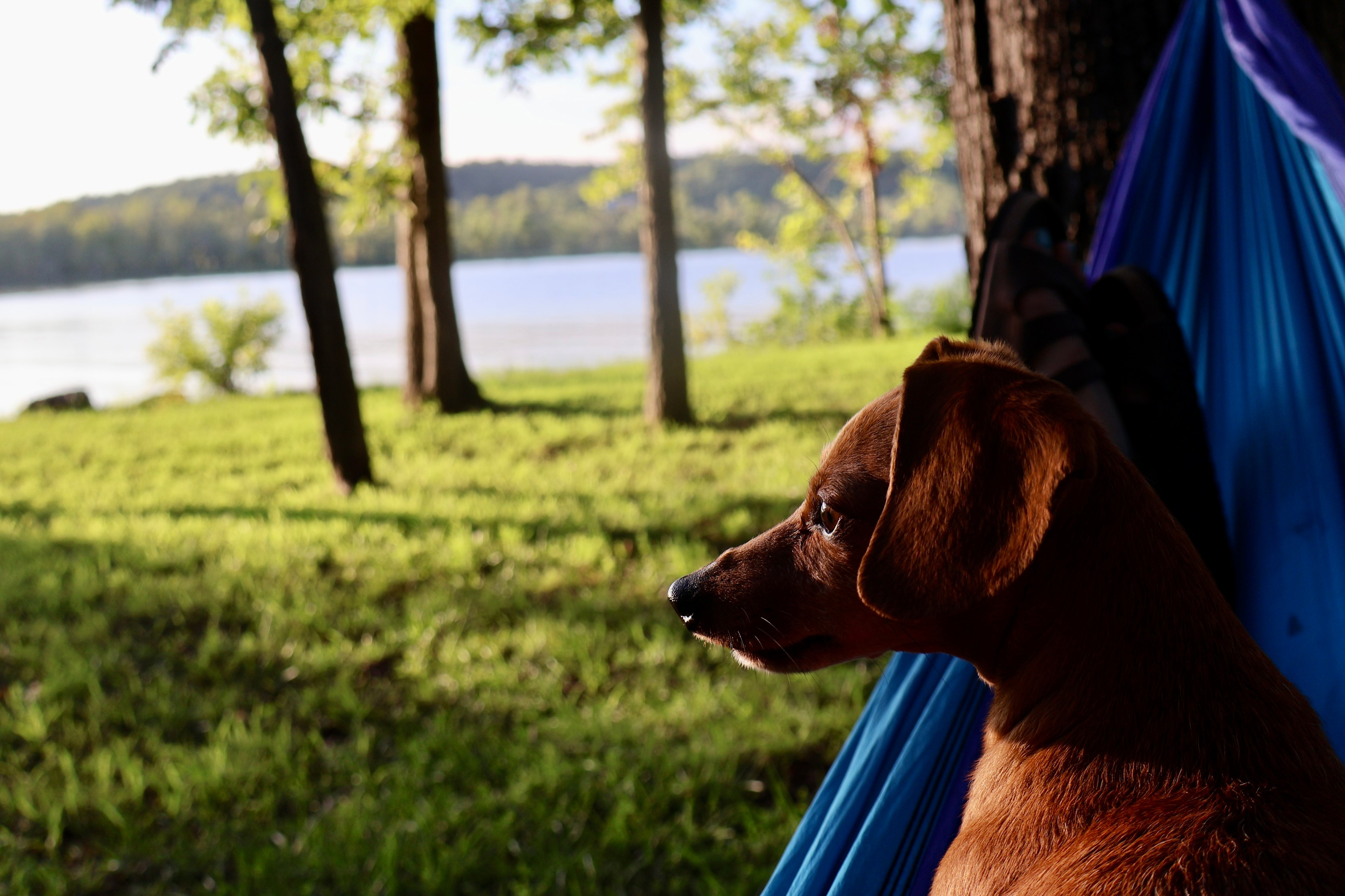 Sawmill Hollow Creek