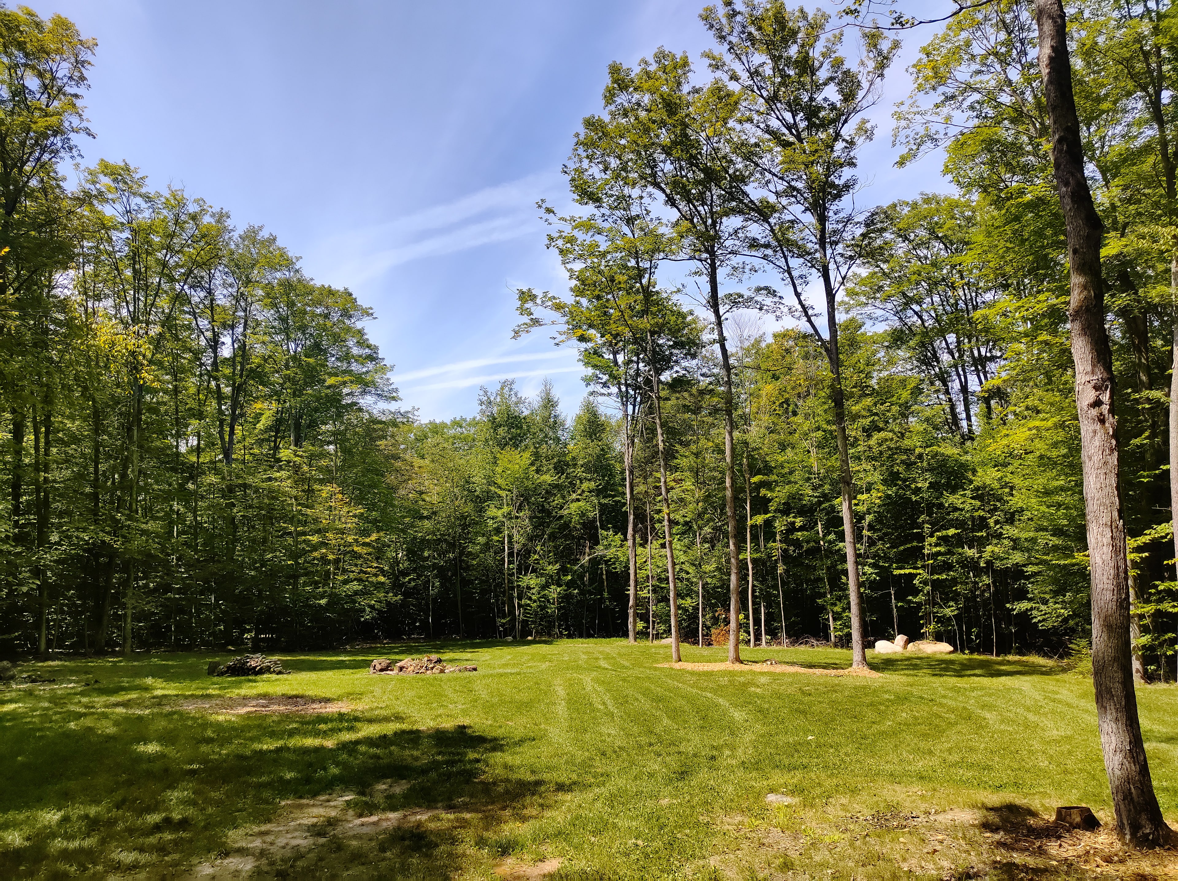 Massive Woodland Campsite