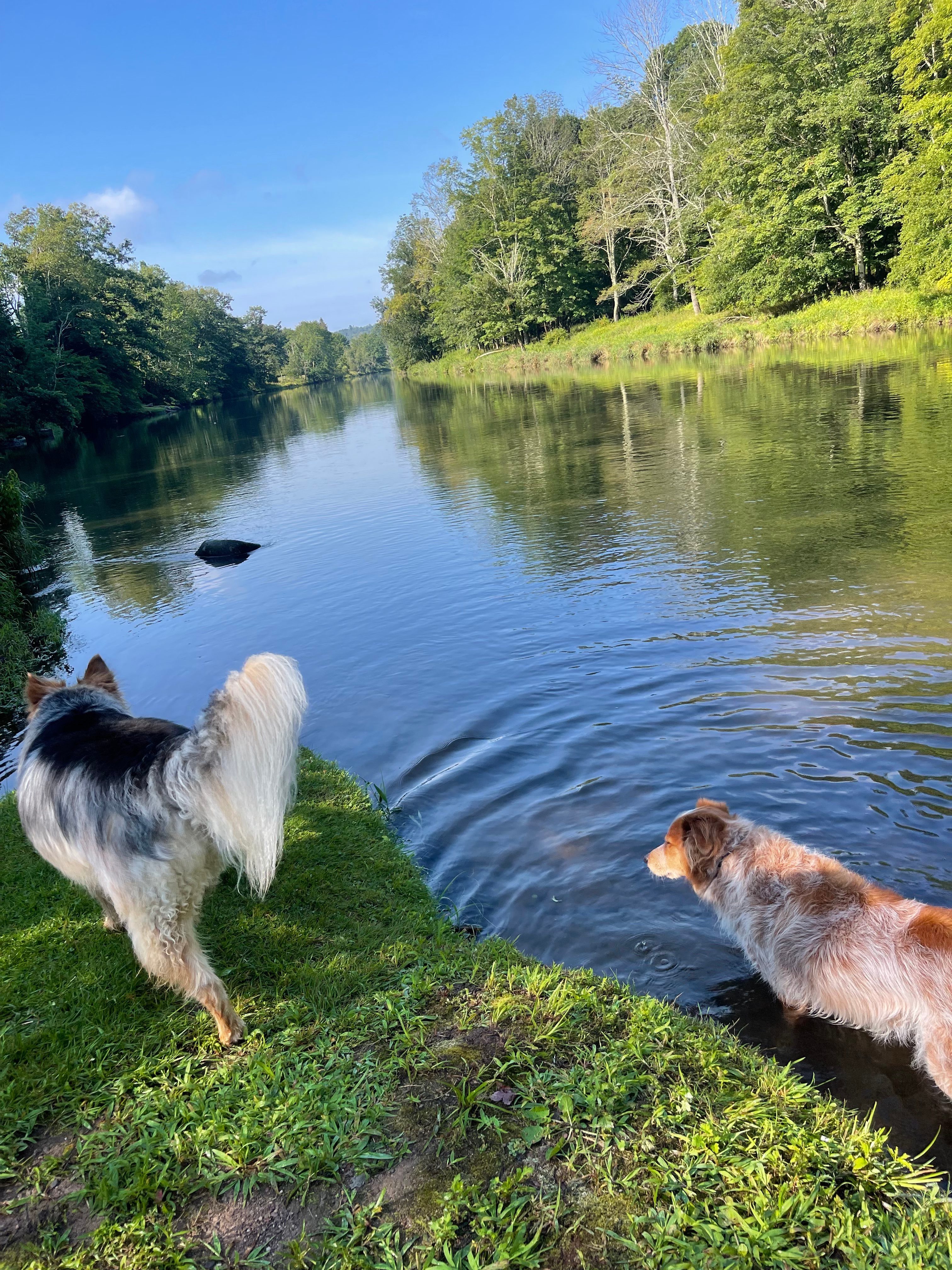 The Neversink River Isle