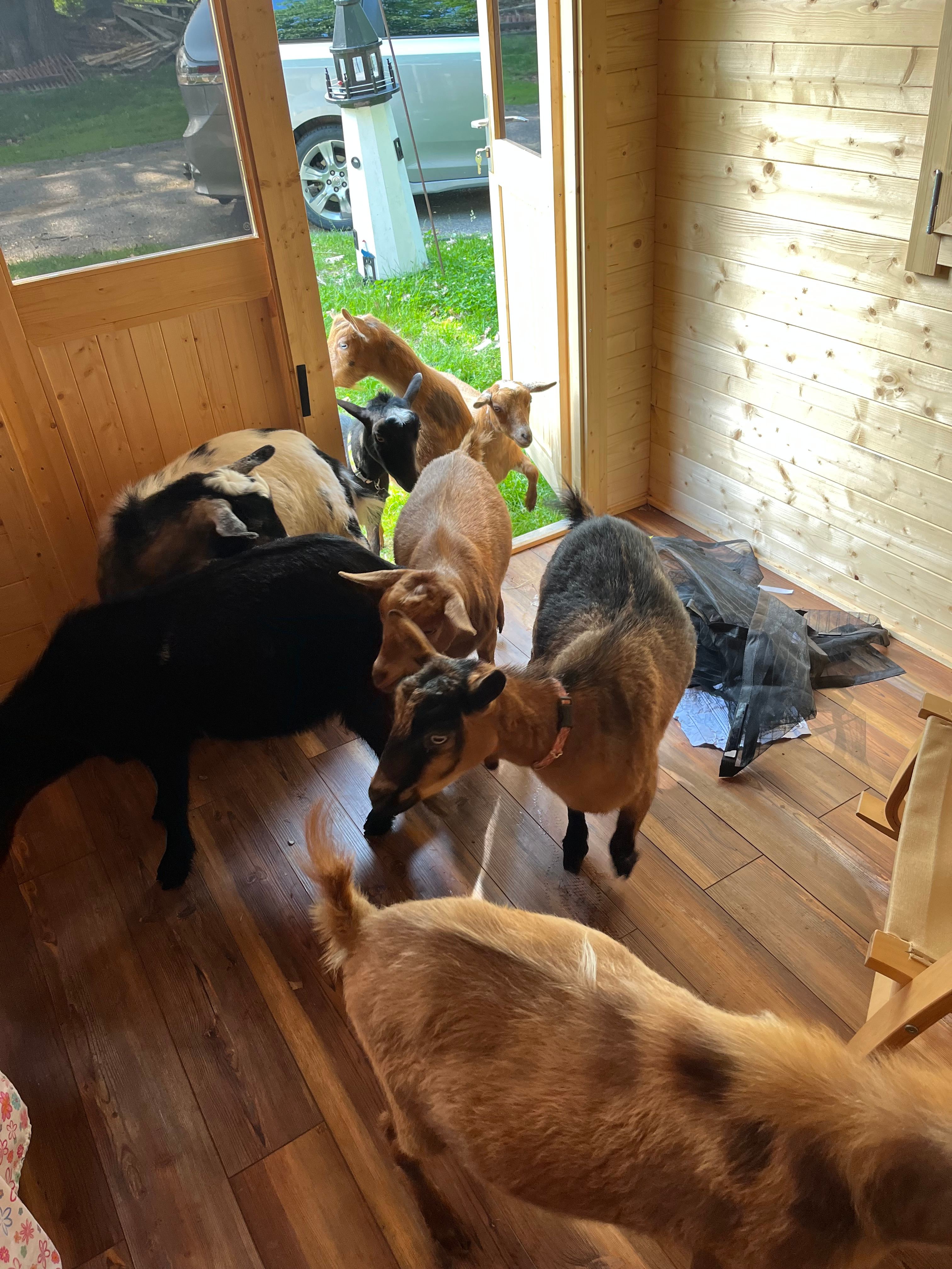 Lakeside camping near Bath Maine