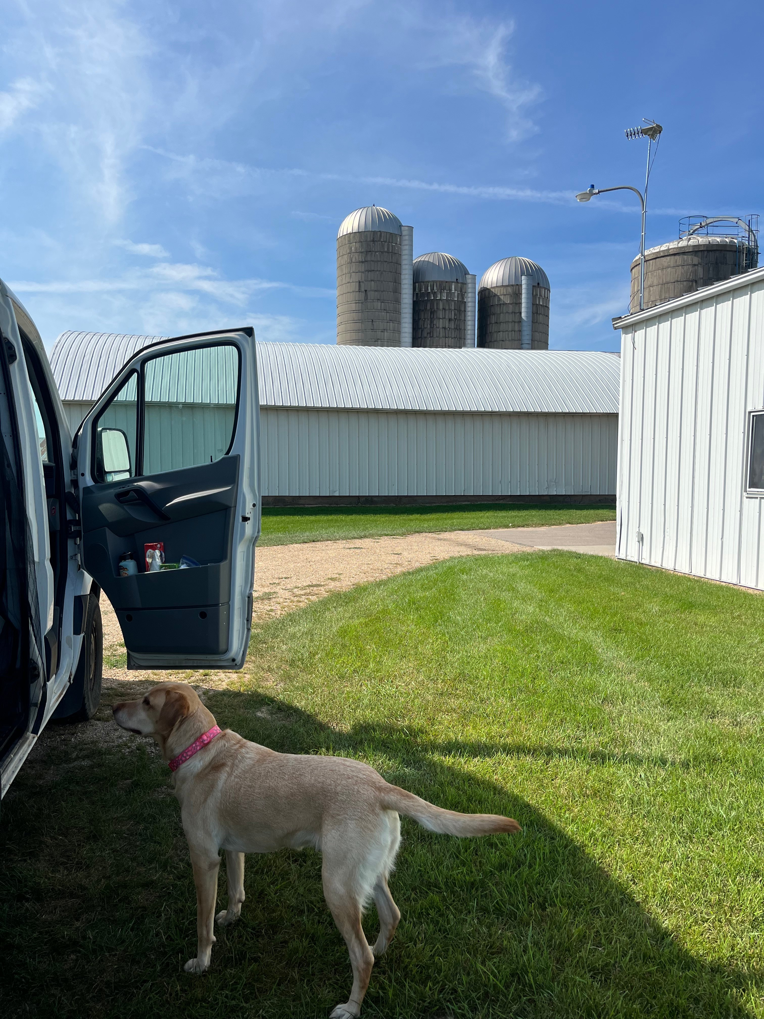 Many spots to choose from to camp at, we chose the area most lit up at night. There were more private spots to choose from to fit your needs!