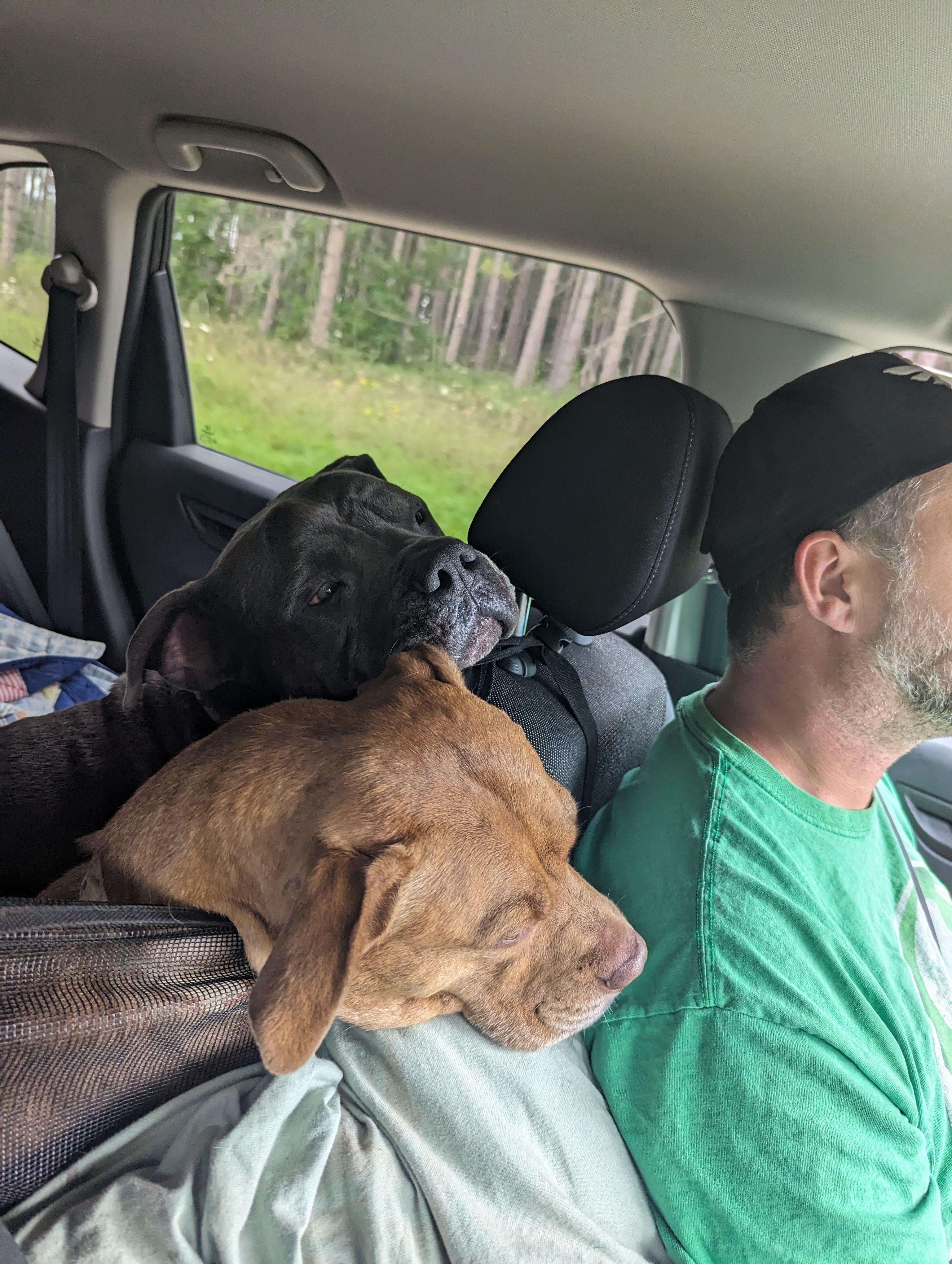 Pat and Gerry's Simple Solitude