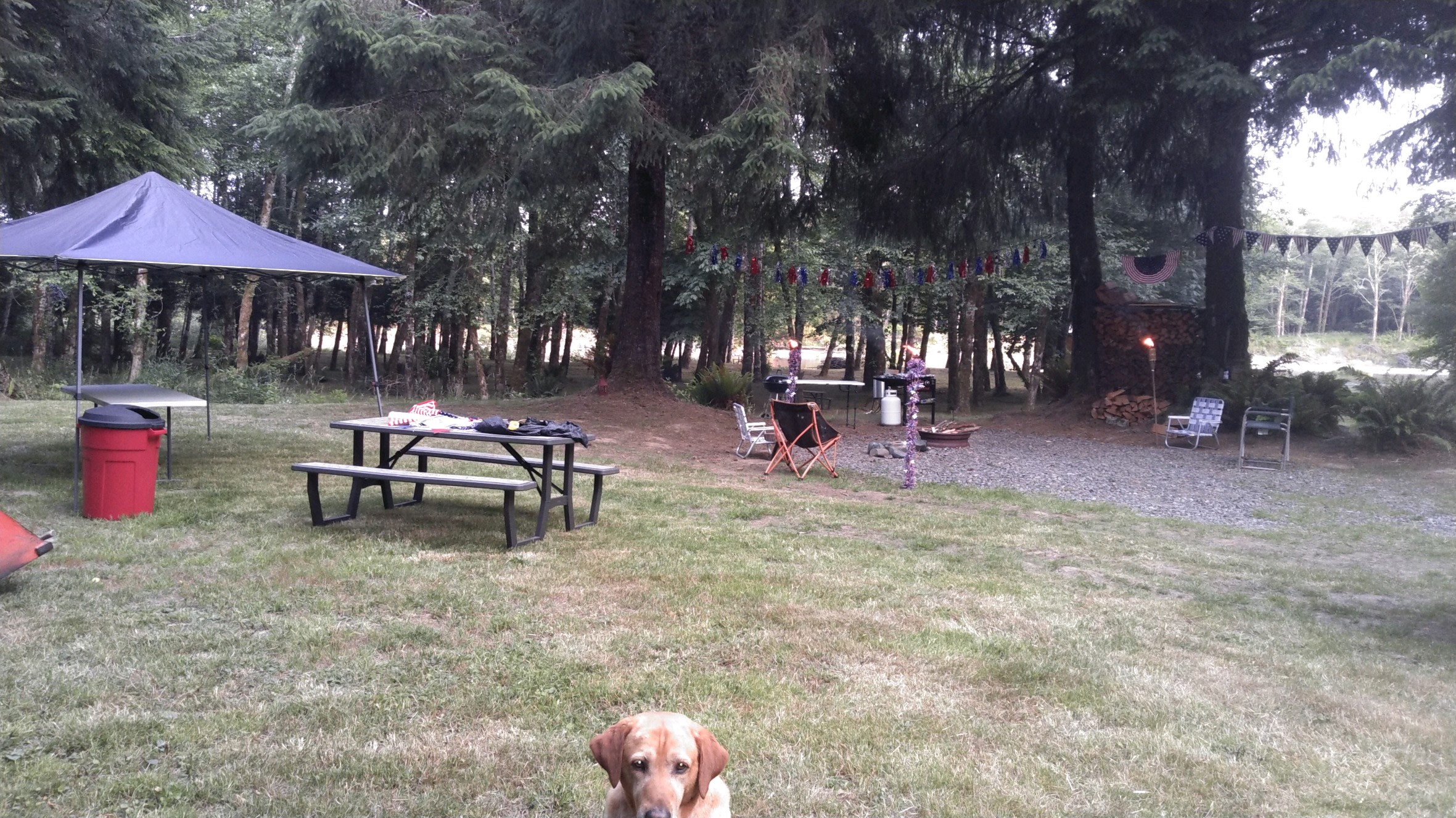 Fourth of July Campers