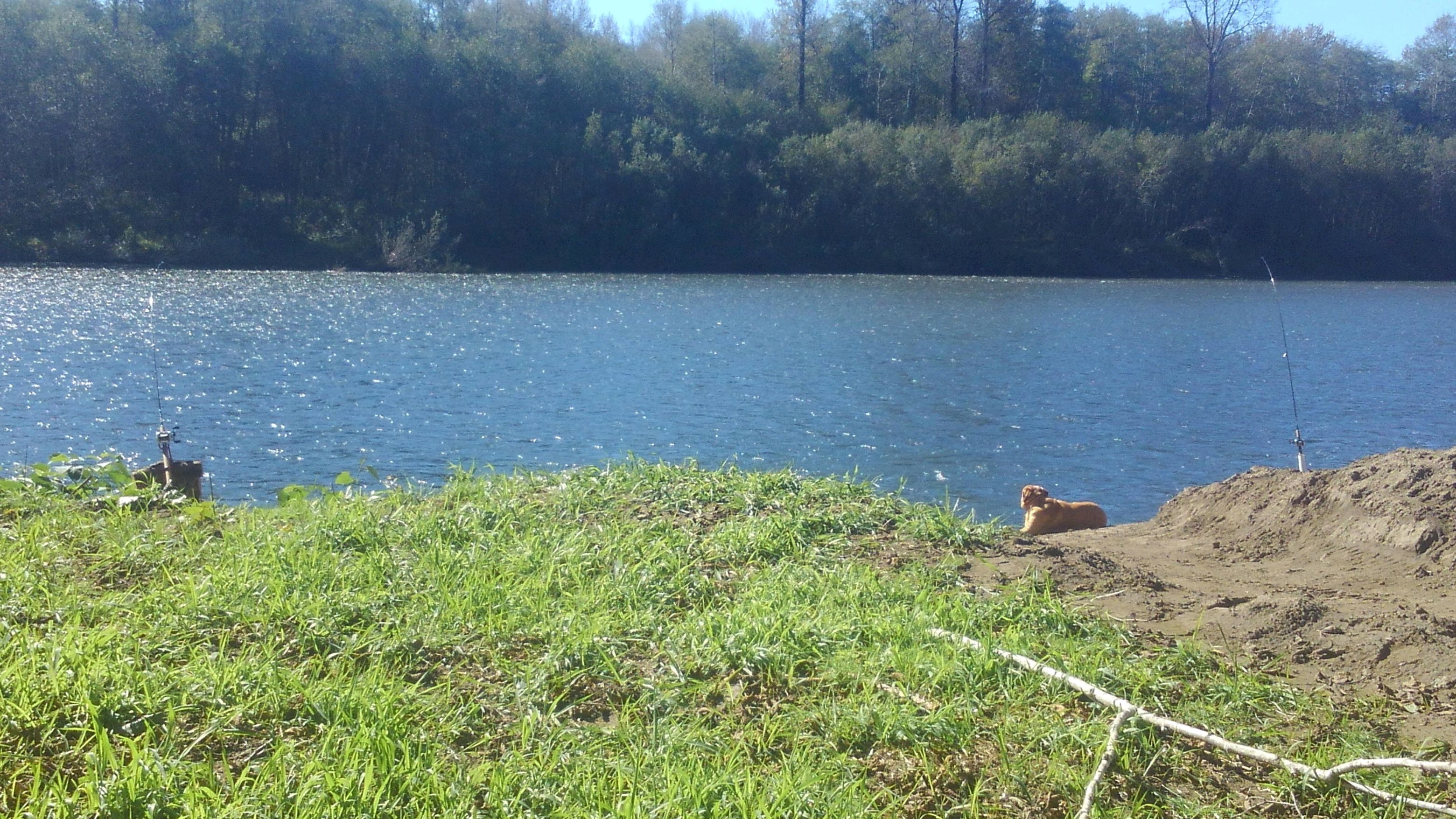Fishing off shore