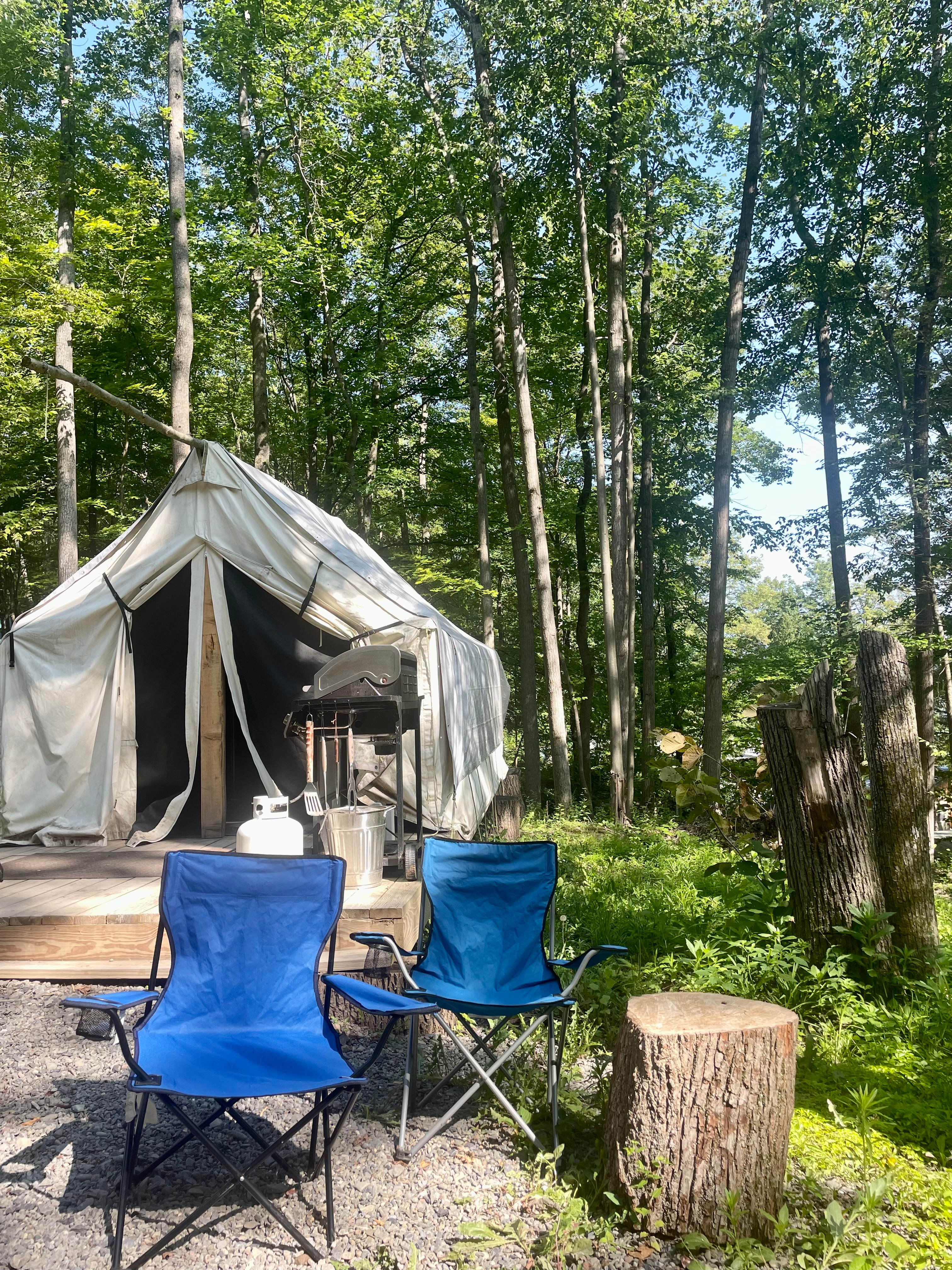 The Spotted Sandpiper