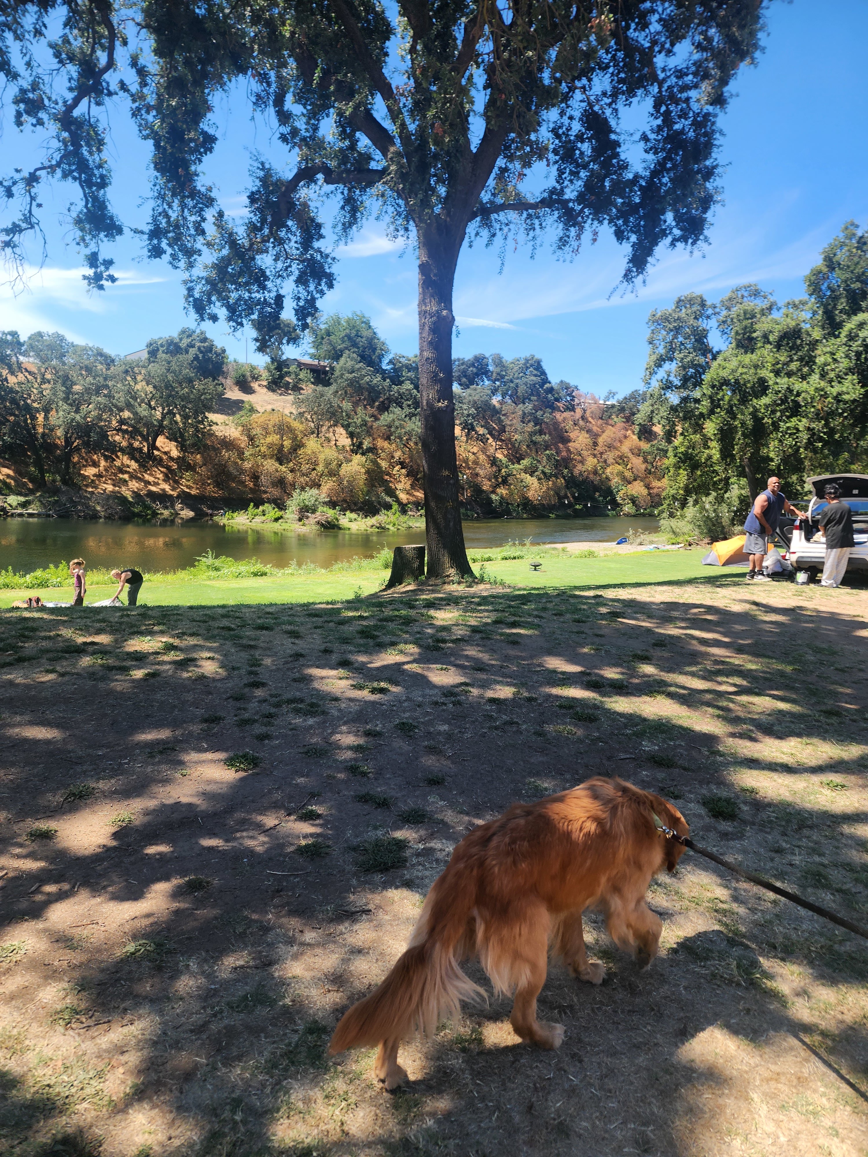 Open area for trailer
