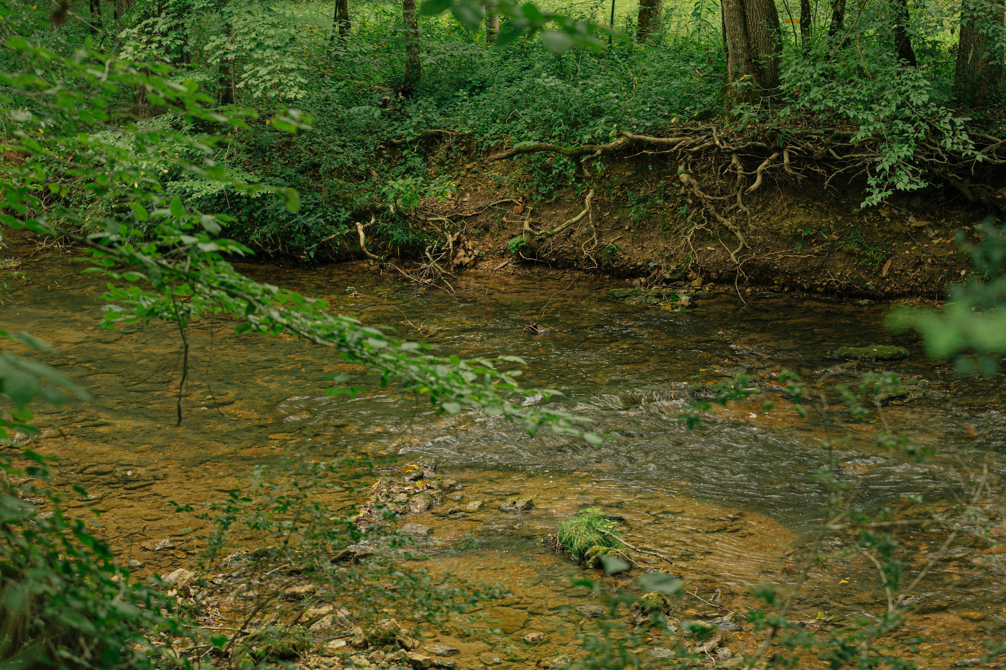 Seven Springs RV Campground