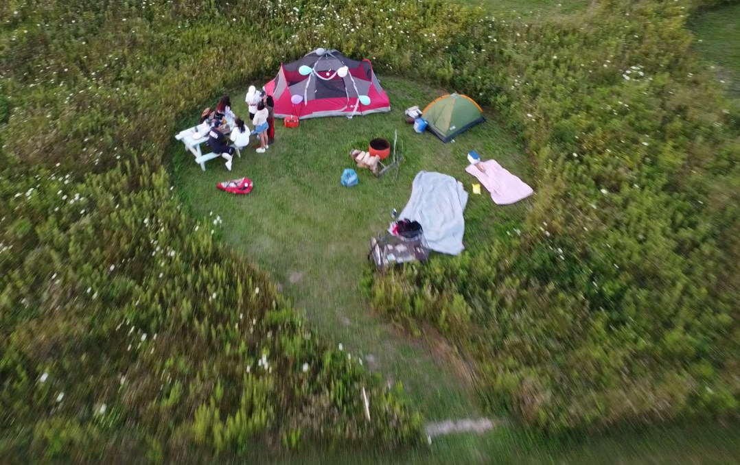 Wilde on Turtle Island Sanctuary