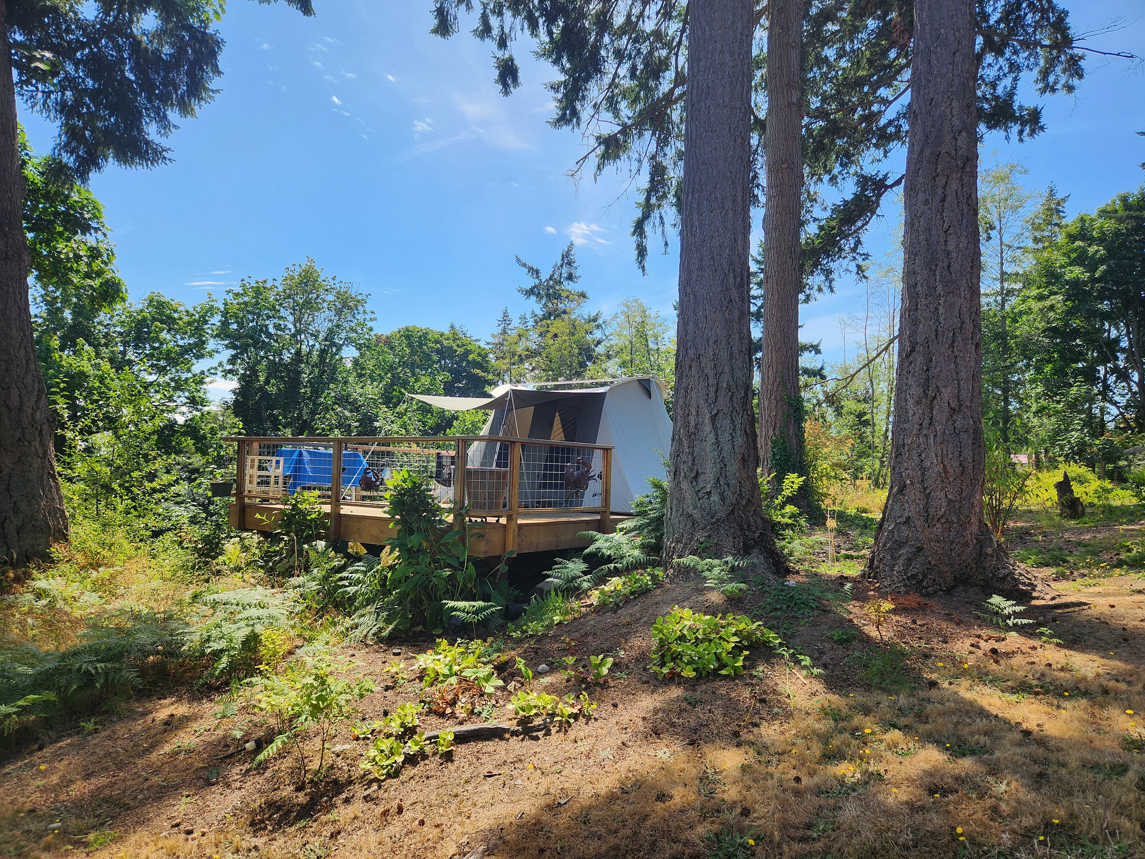 A Taste of Whidbey