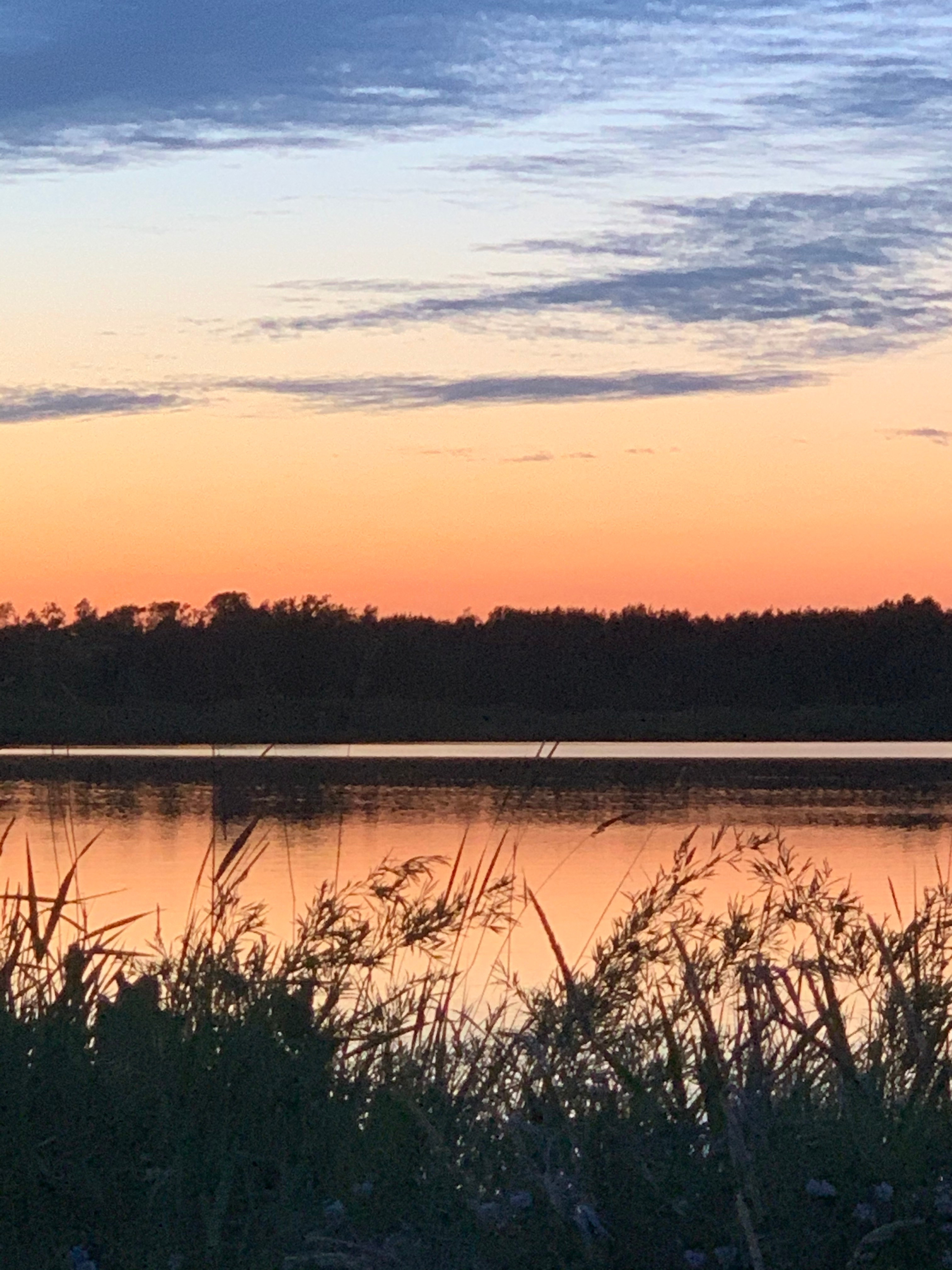 Blue Heron Homestead