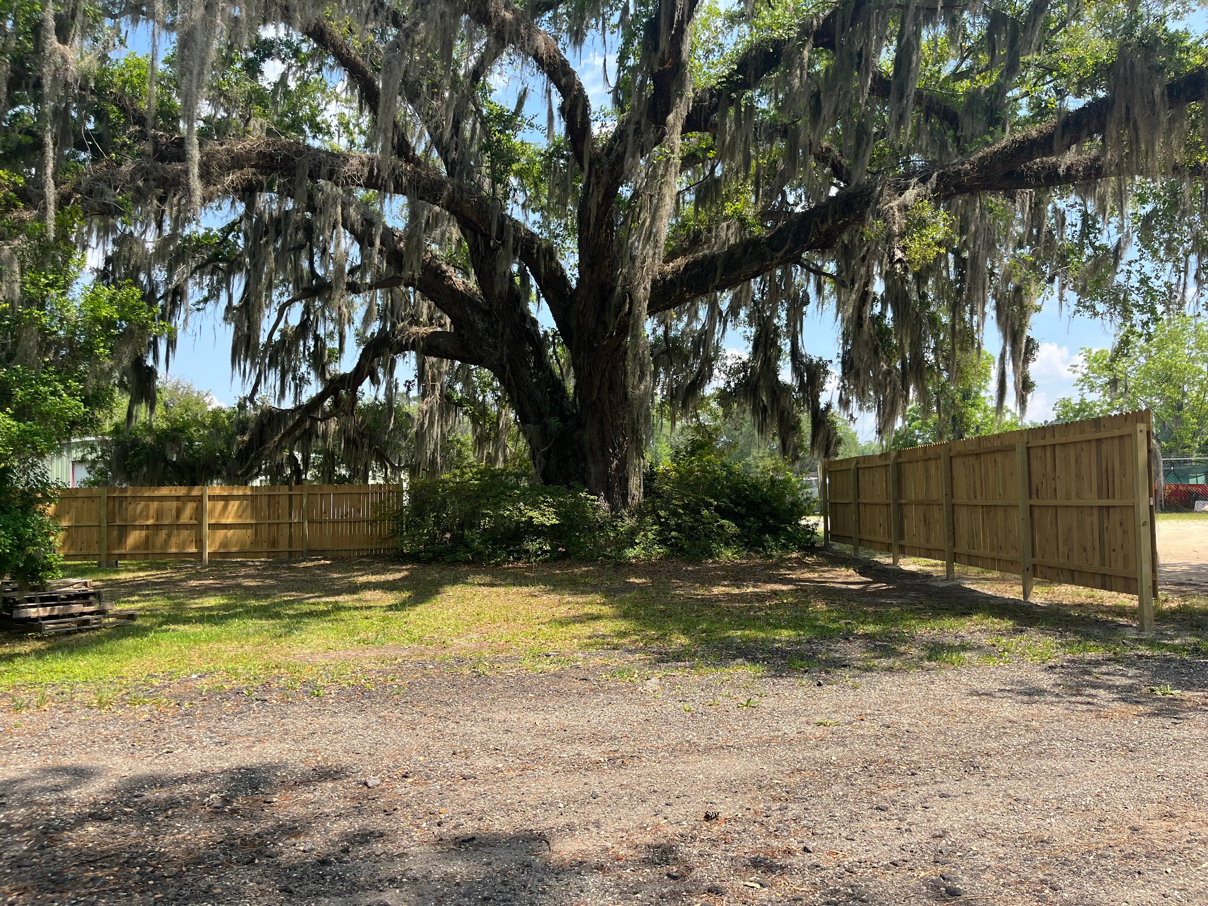 Behind the privacy fence 