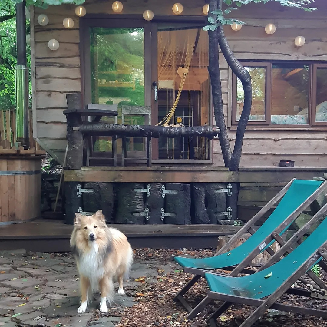 Hideaway Hut, Camping cabin.