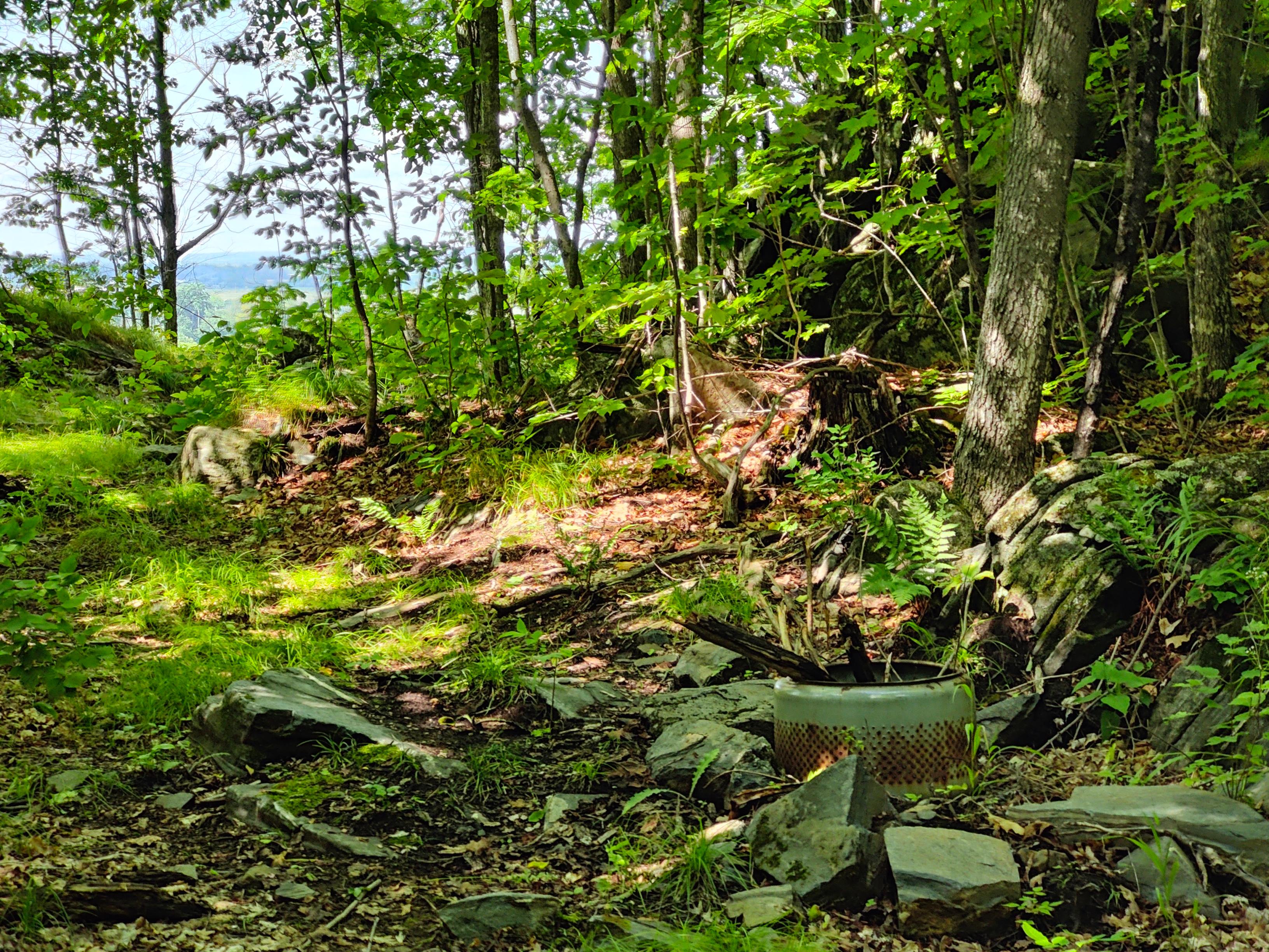 Cartwright Springs Brewery