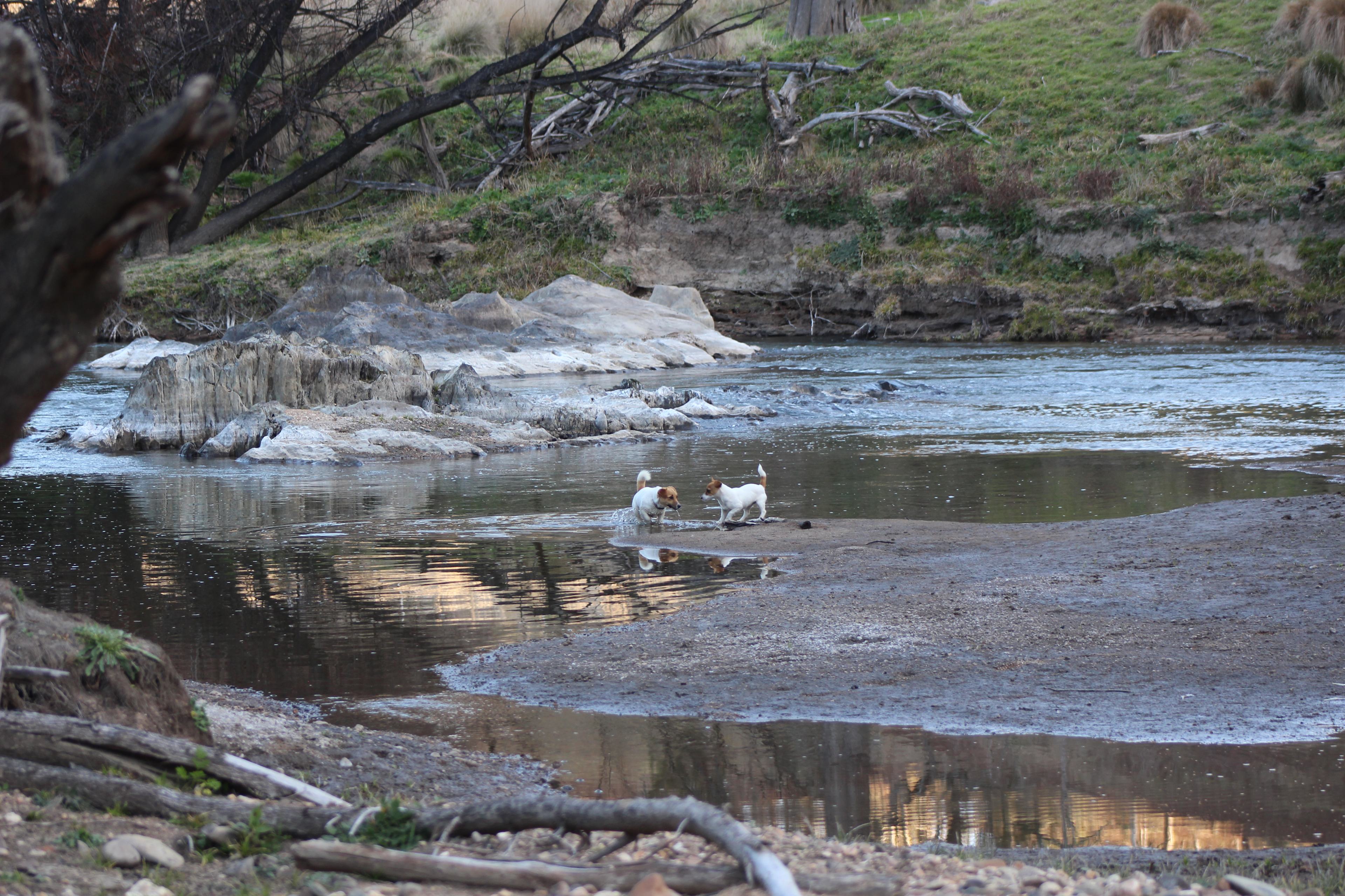 Rockytop Family Bush Retreat