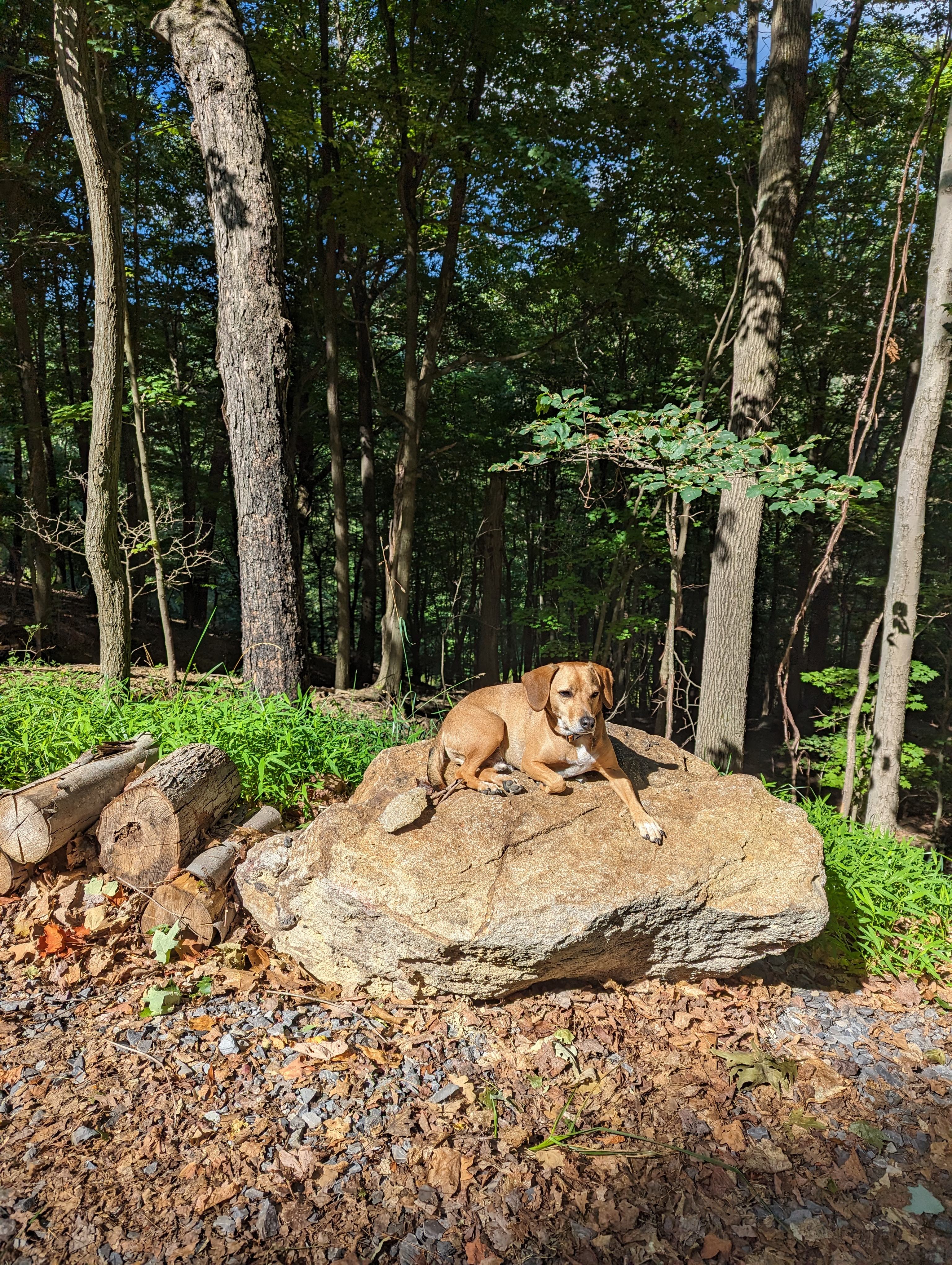 Barnum Cliffs Campground