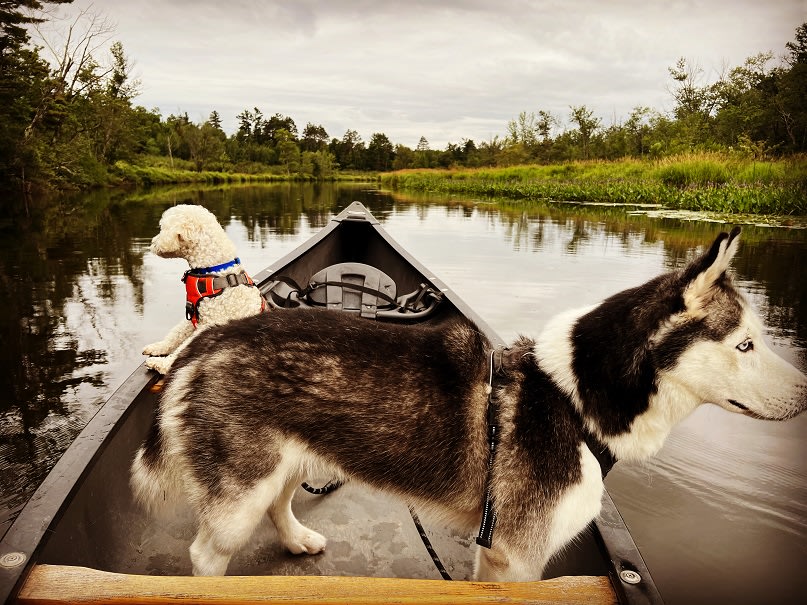 Adventure Basecamp at River's Edge