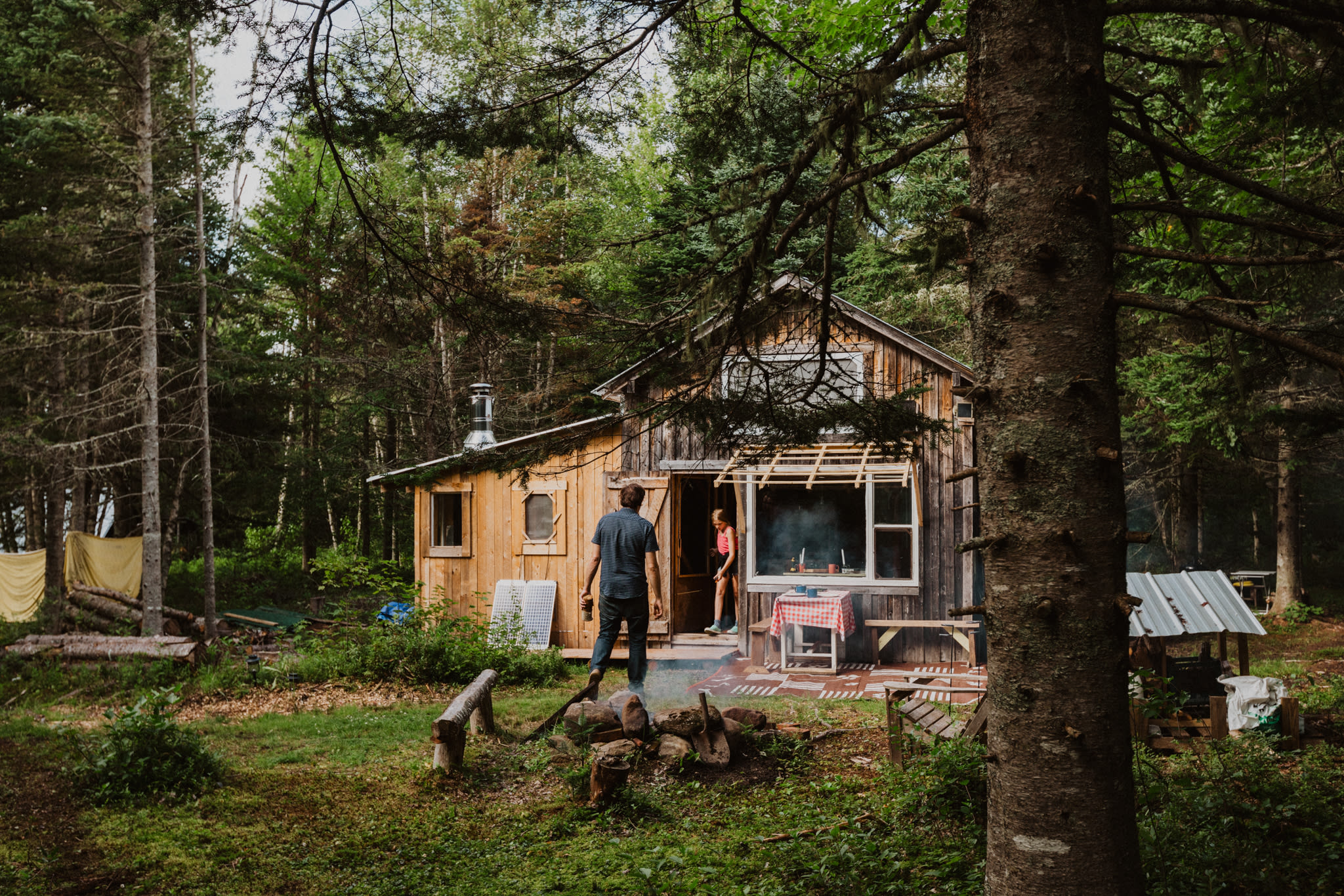Paws Crossing: a woods retreat.