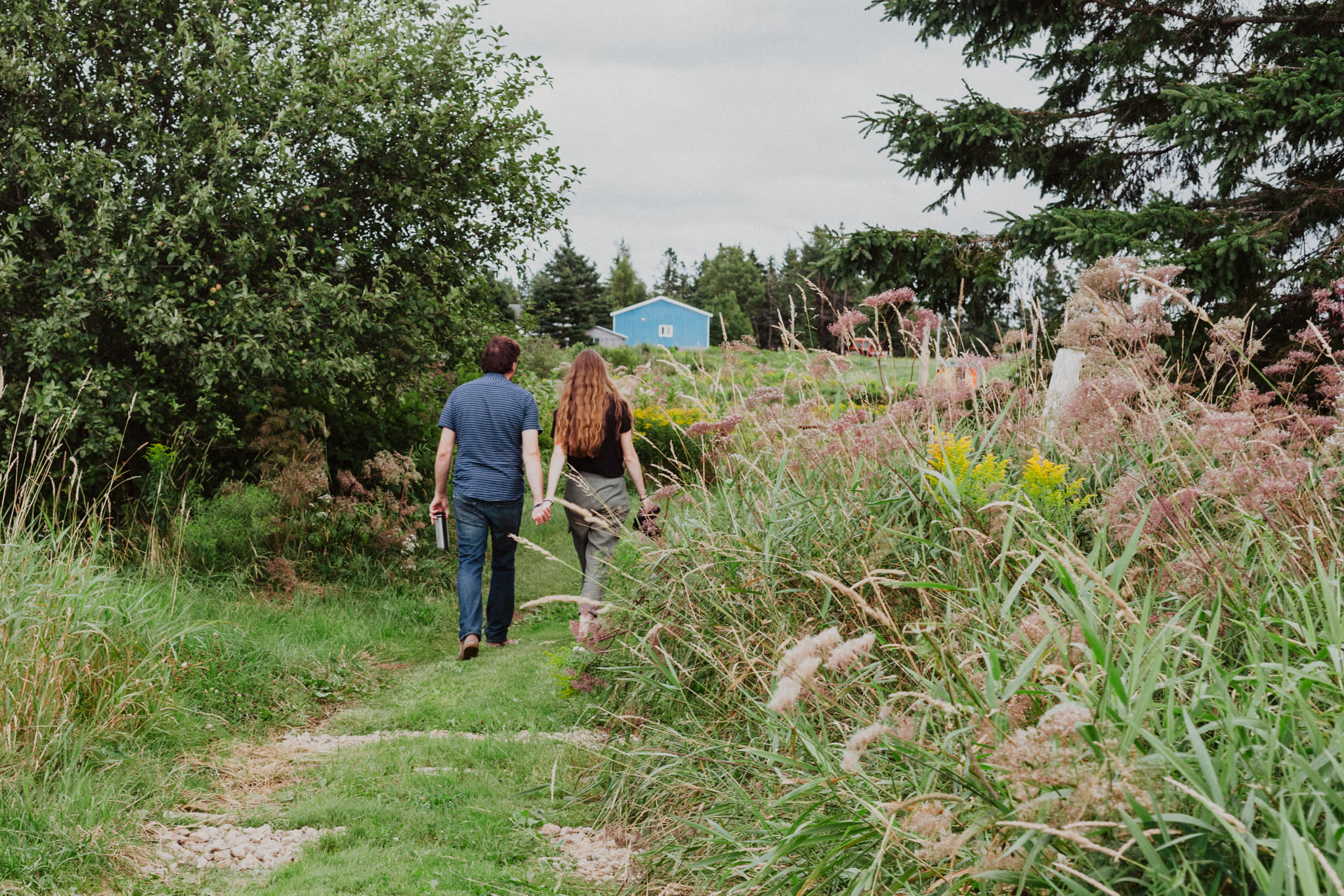 Trail leading from the cabin up towards the house and barn.