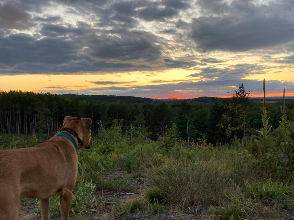 Sunset view from a hill near the property