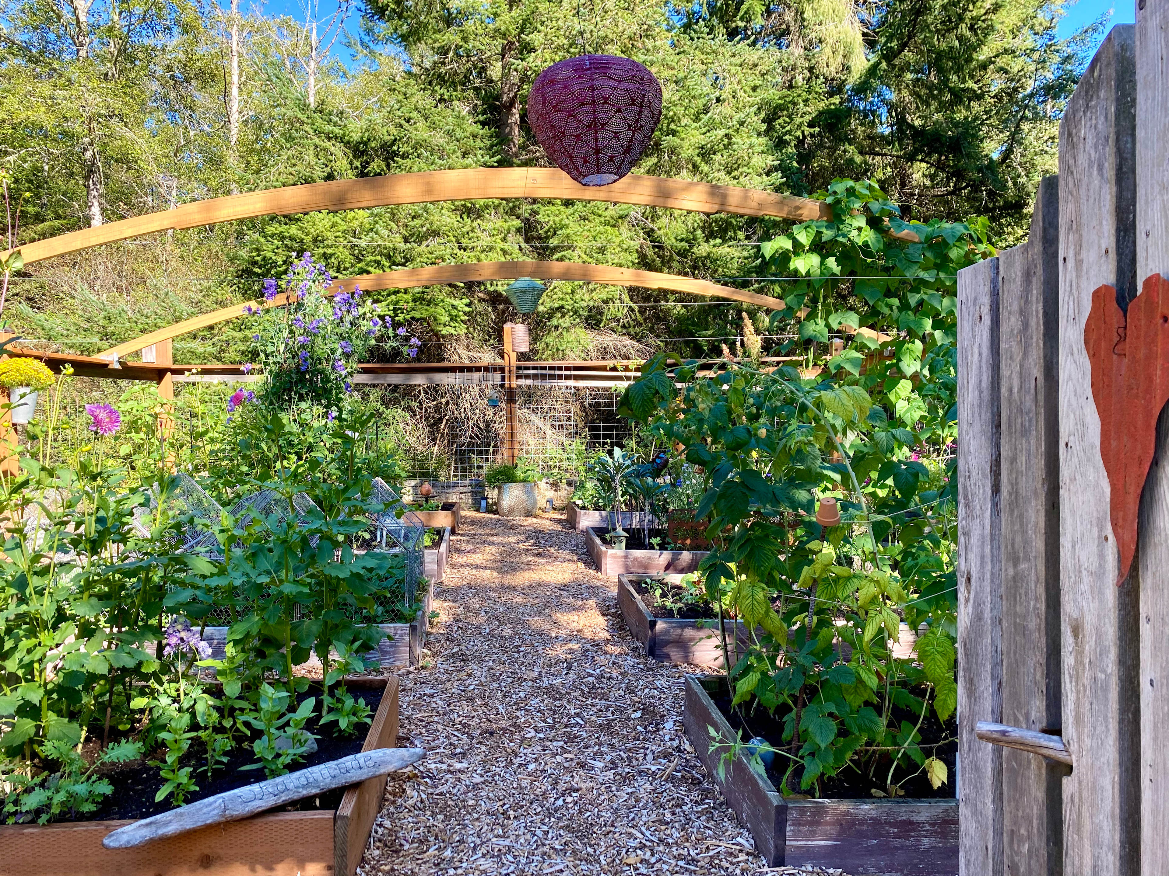 The garden for your enjoyment