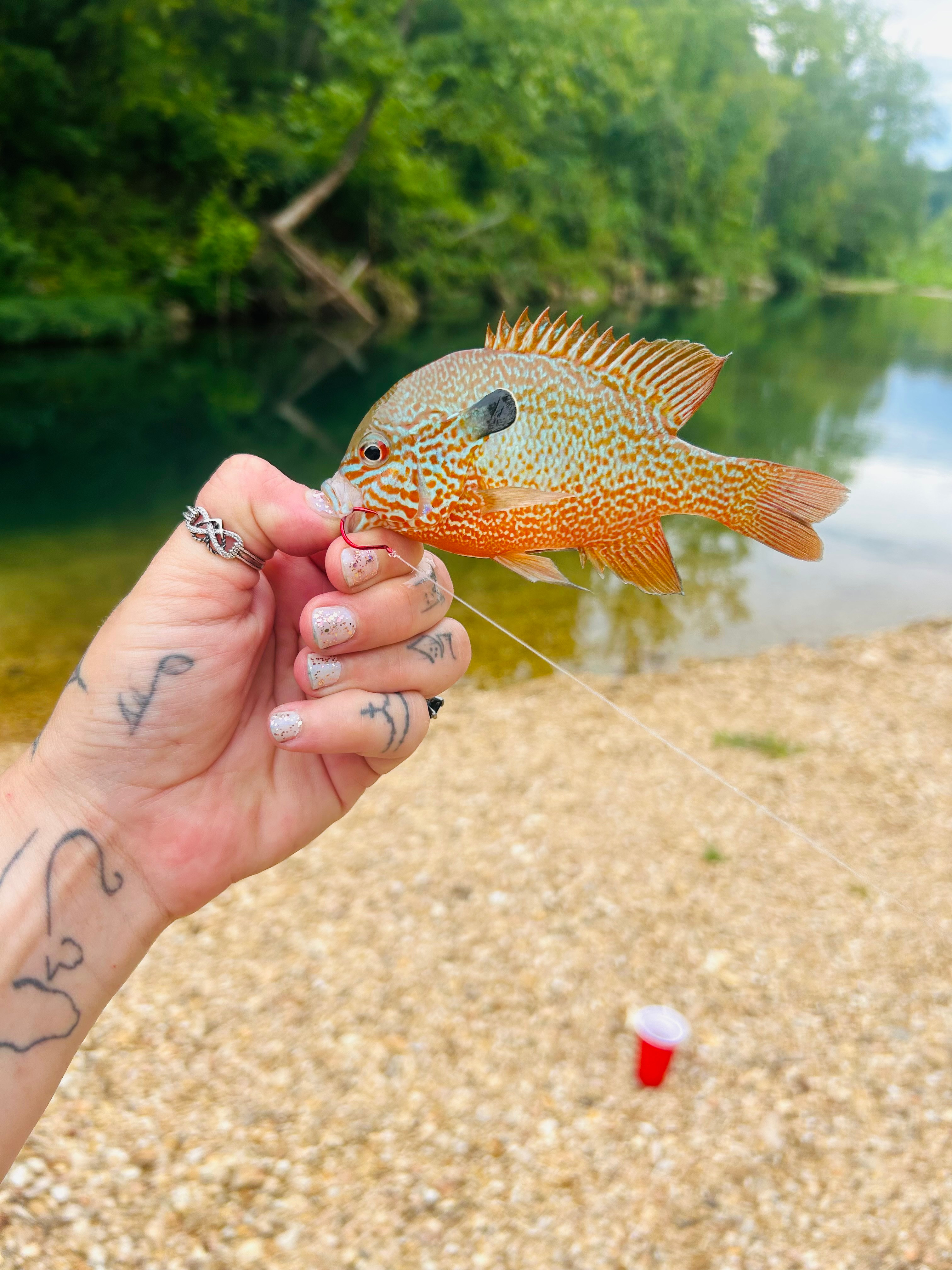 Four Creeks Ranch Campground