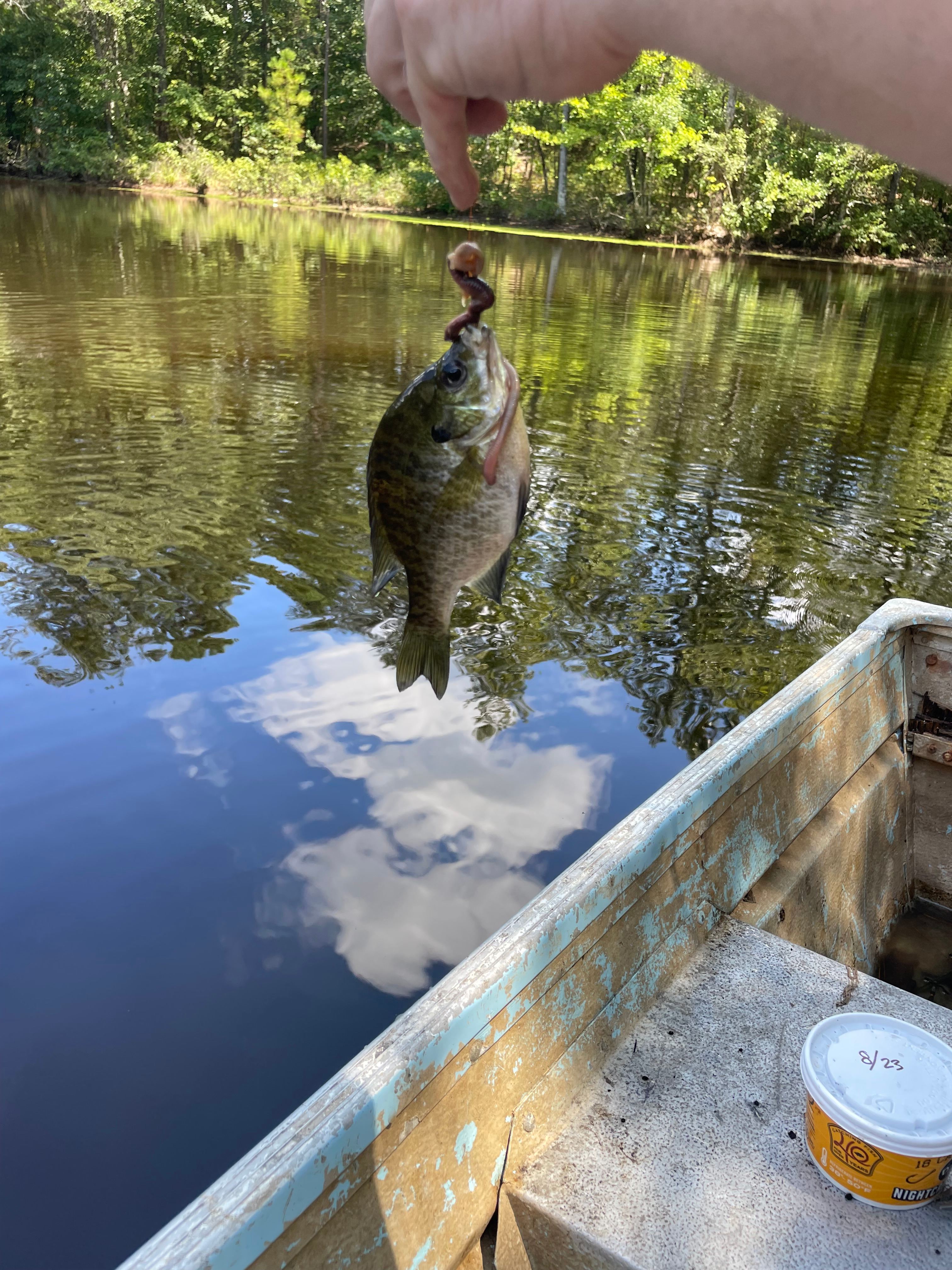 Private Oasis In The Forest