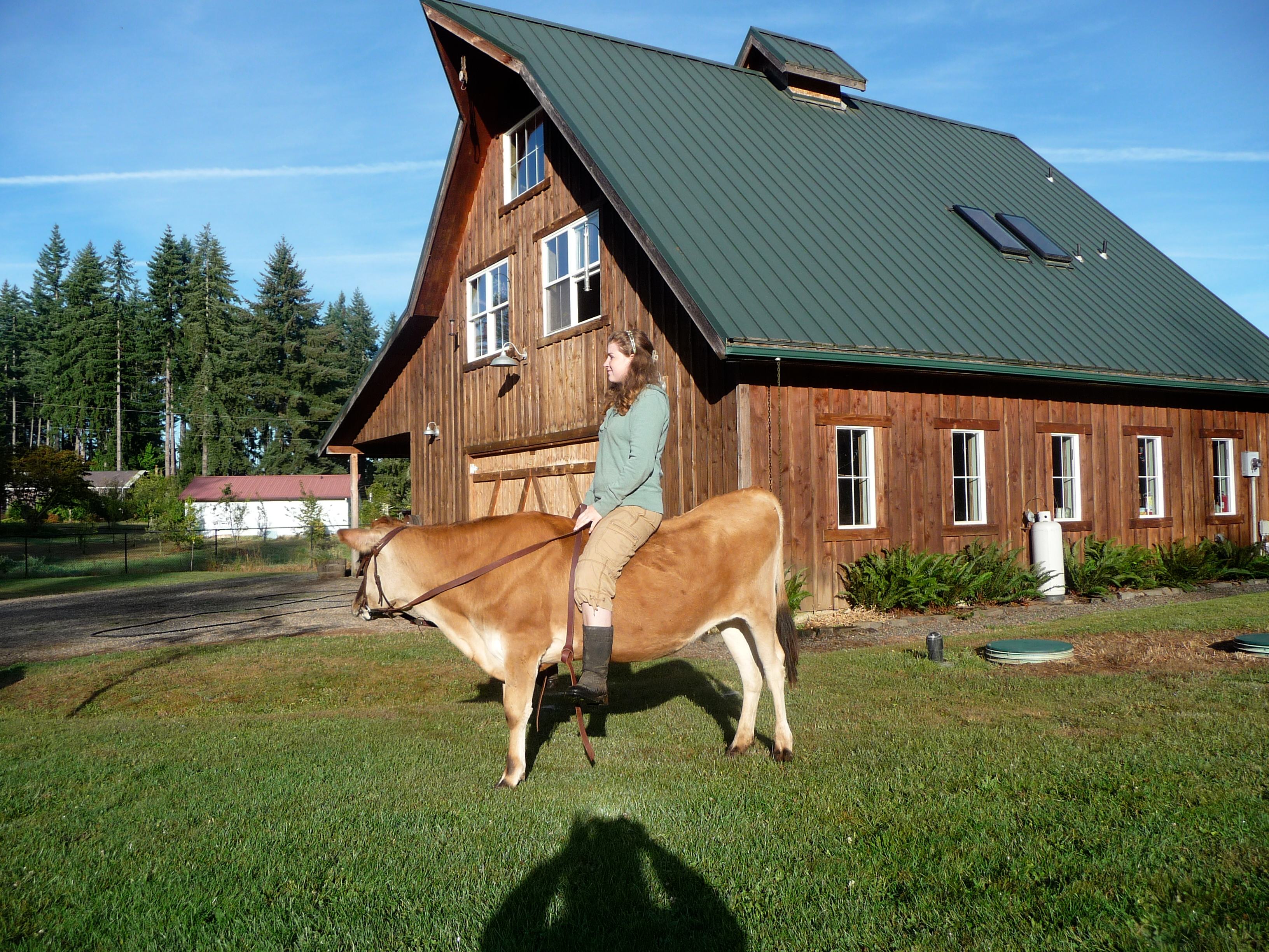Hobby Farm