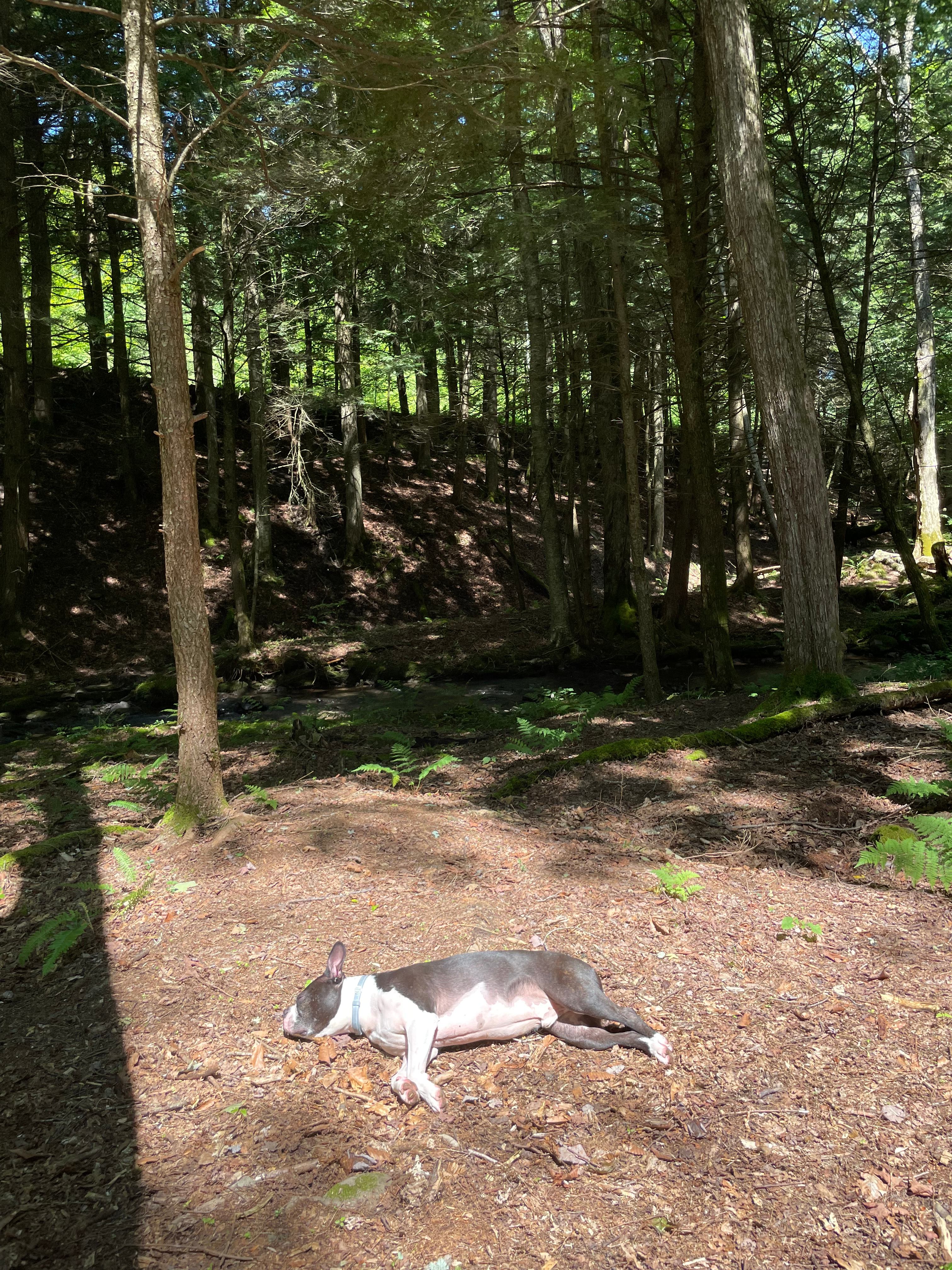 Plenty of sunny spots for lounging