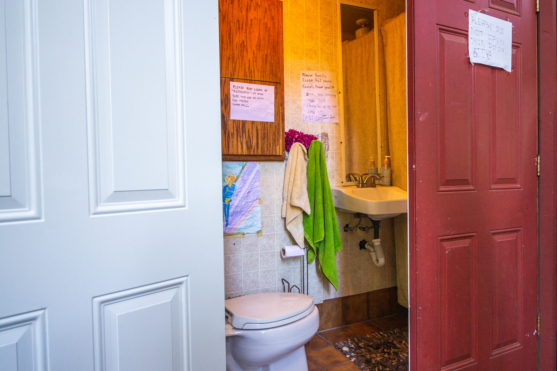 Redwood Paradise Camping