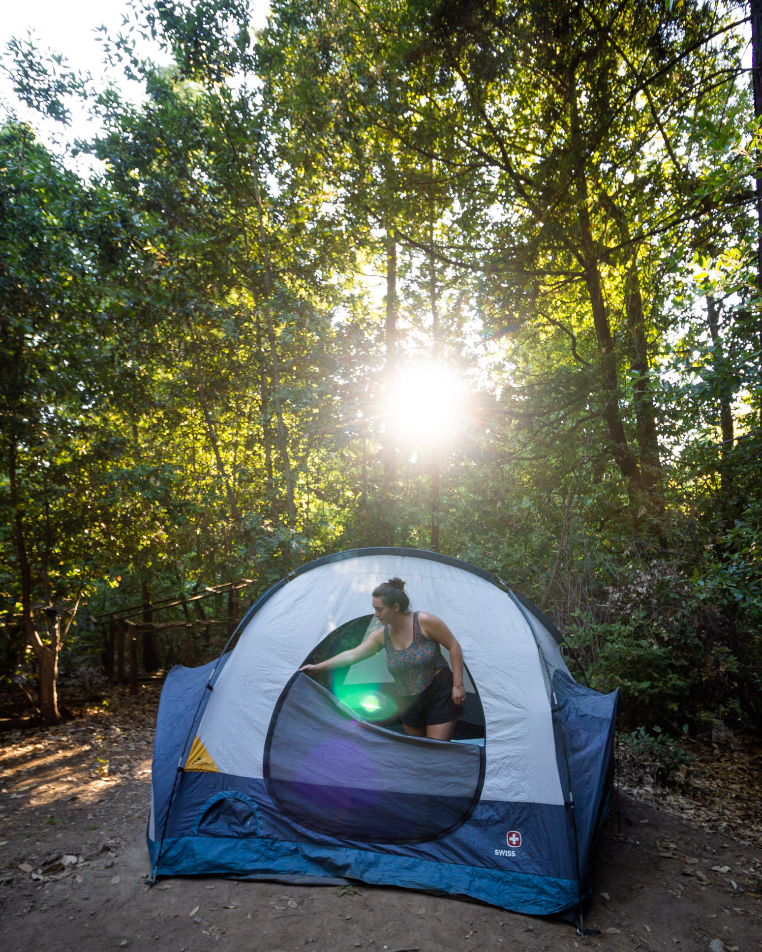 Redwood Paradise Camping