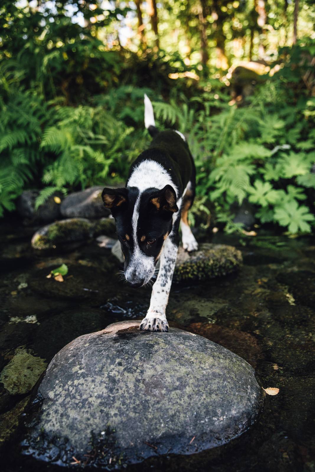 Kaia wanted to play in the river too