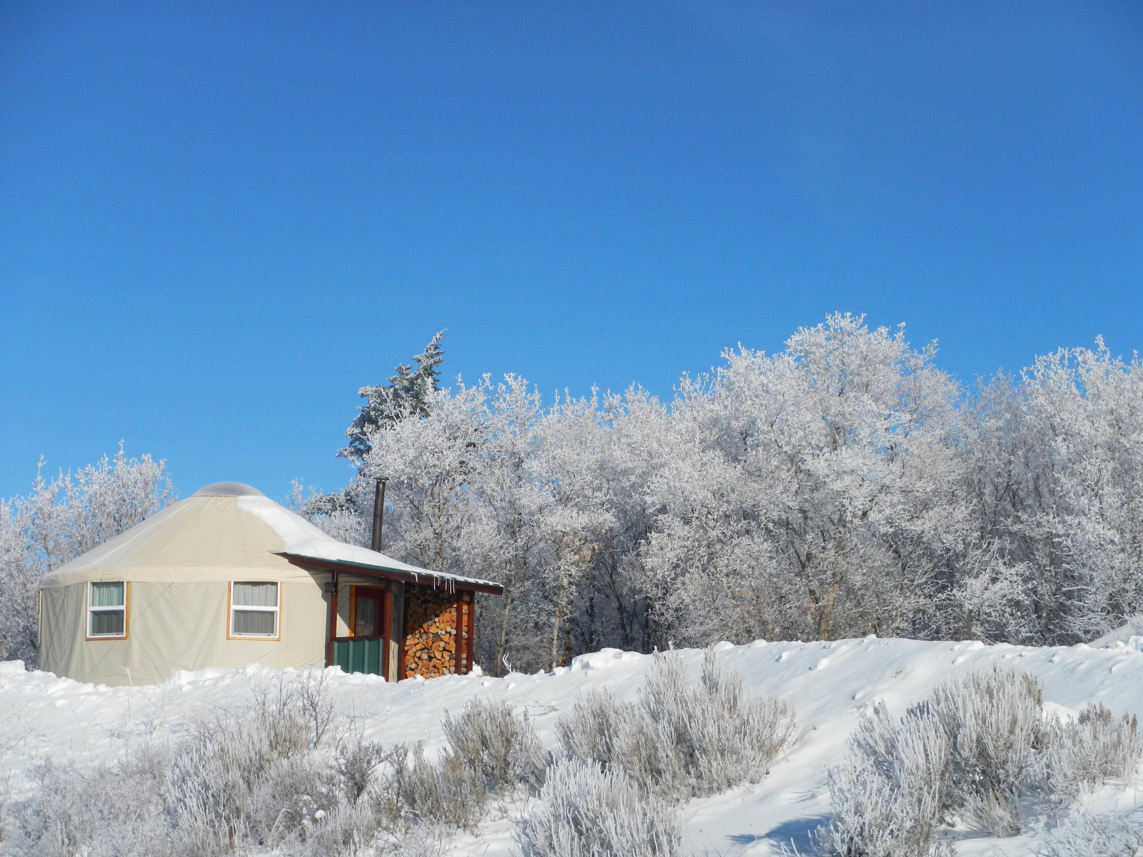 Caribou Yurt