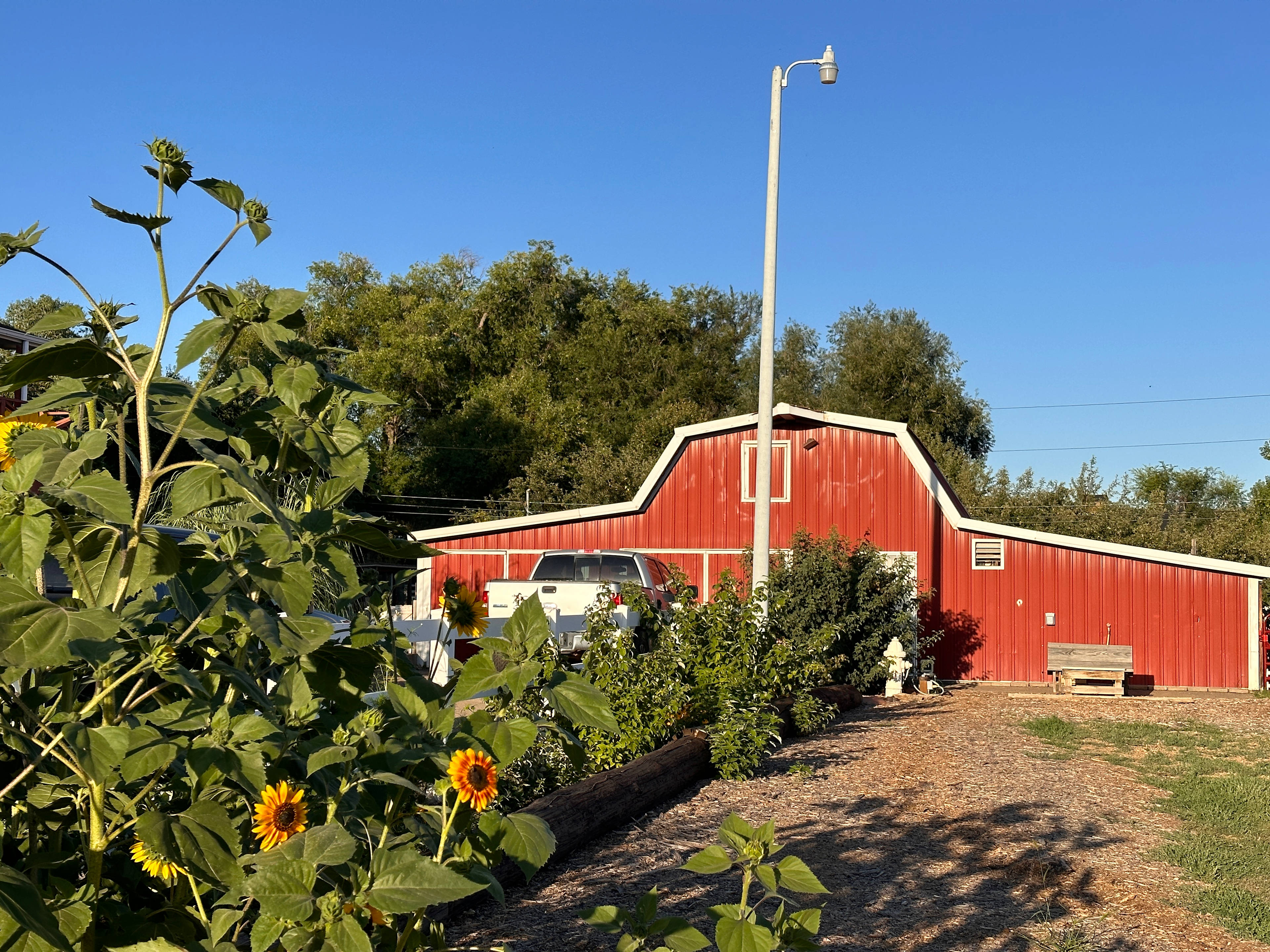 Raspberry Seed Farm