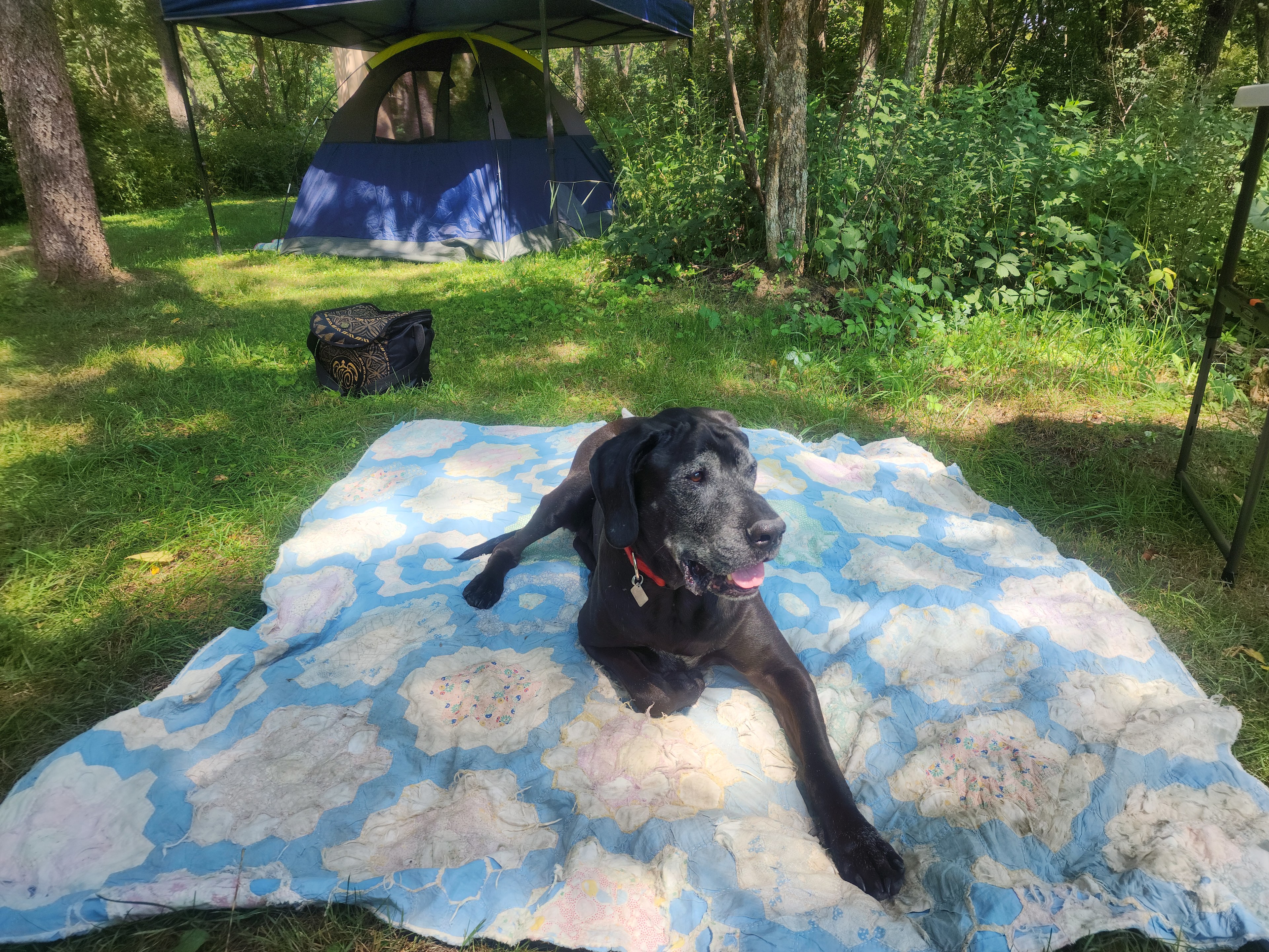 Tent camping on secluded 40 acres.