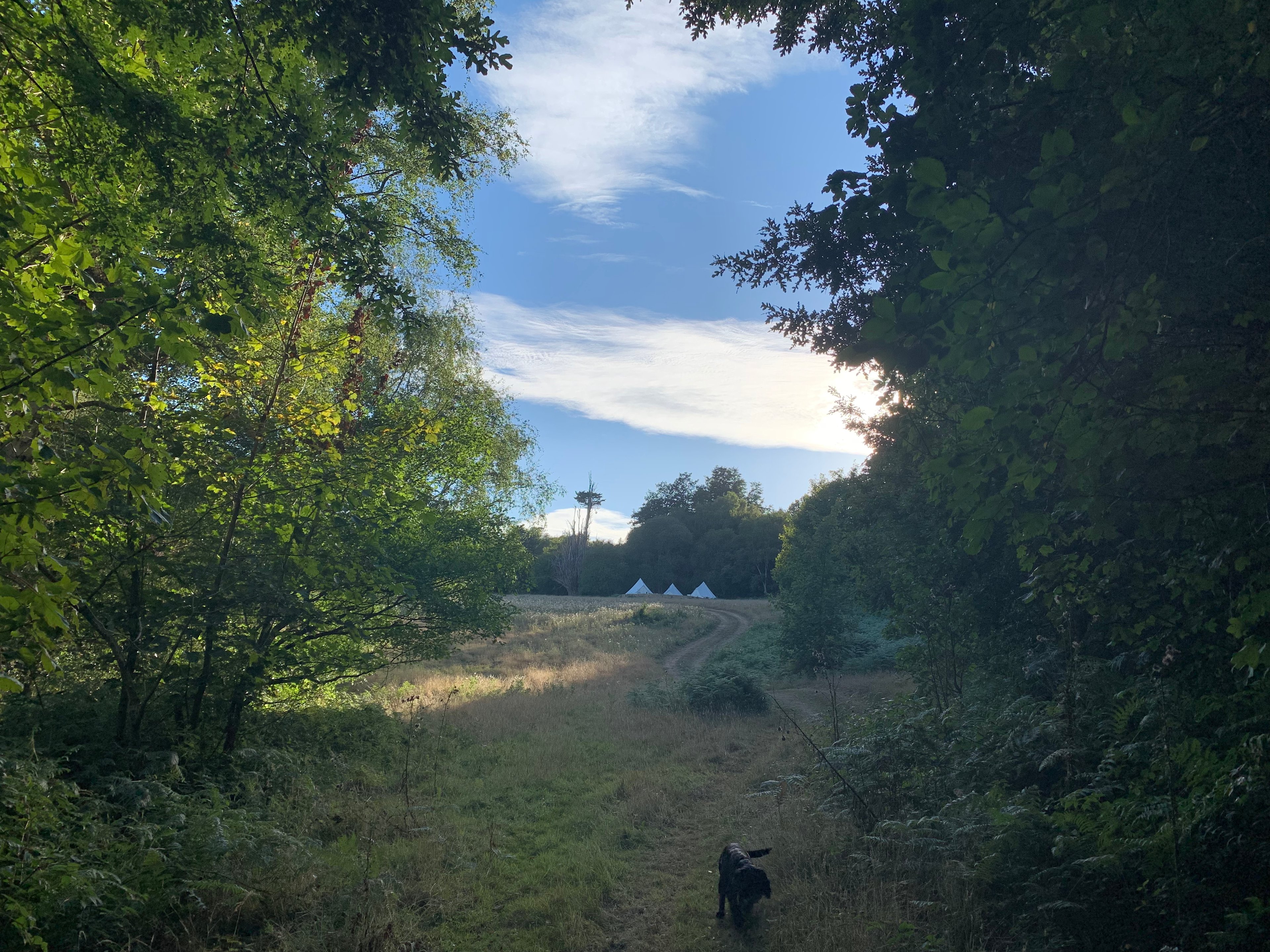 Secluded AONB group glamping