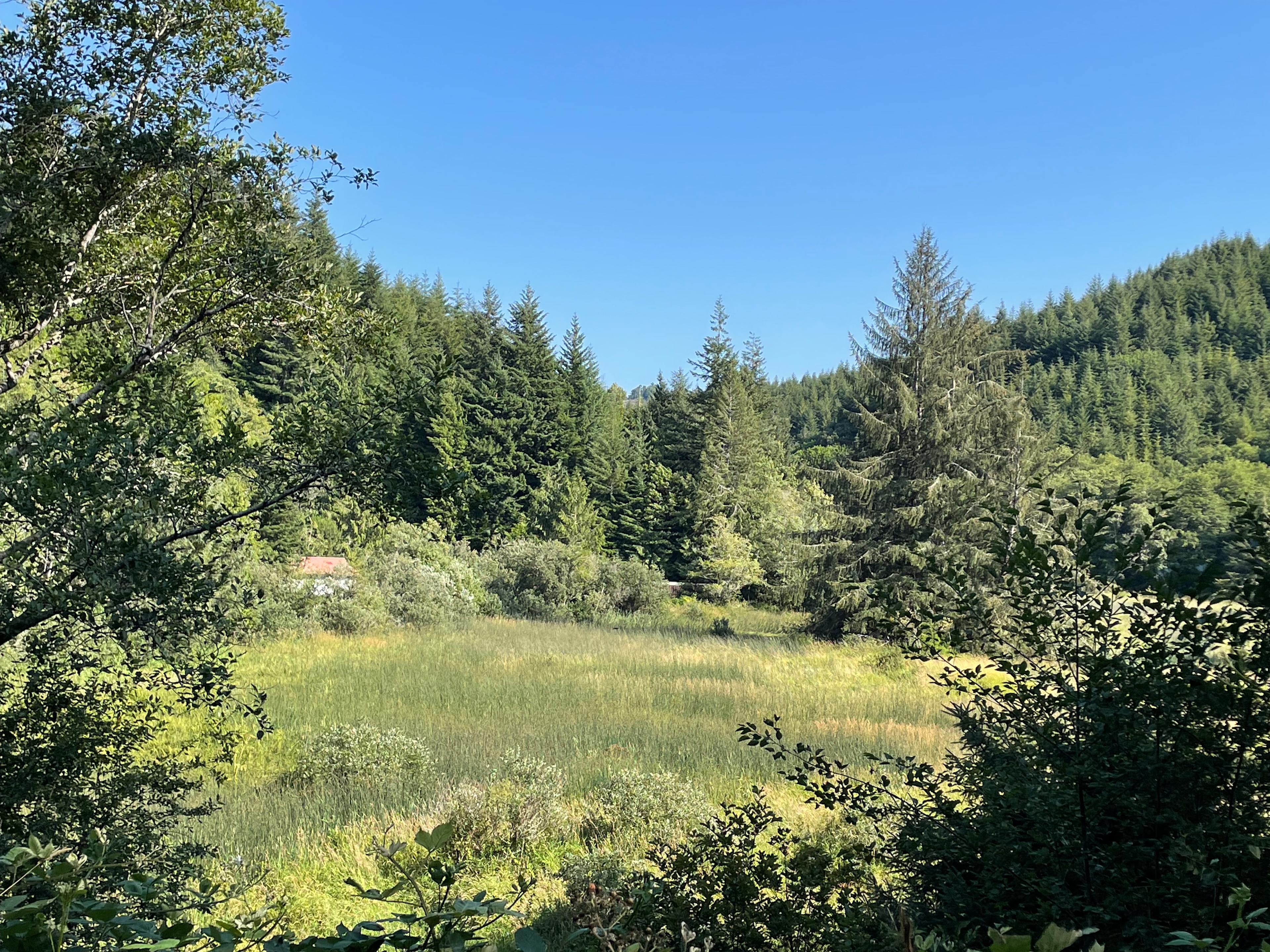 Oar Creek Adventure Camp