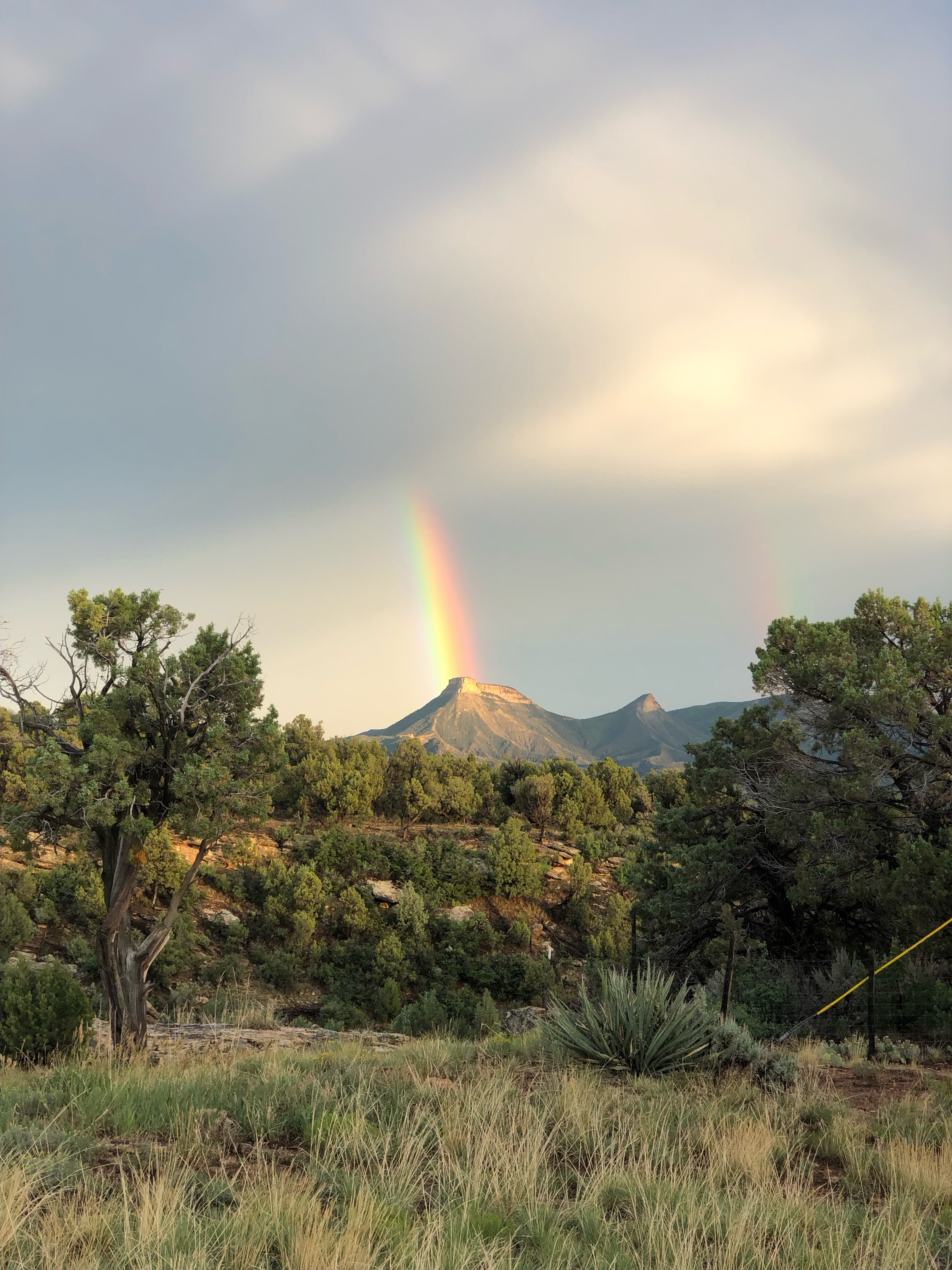 Lavender Farm Bed and Breakfast