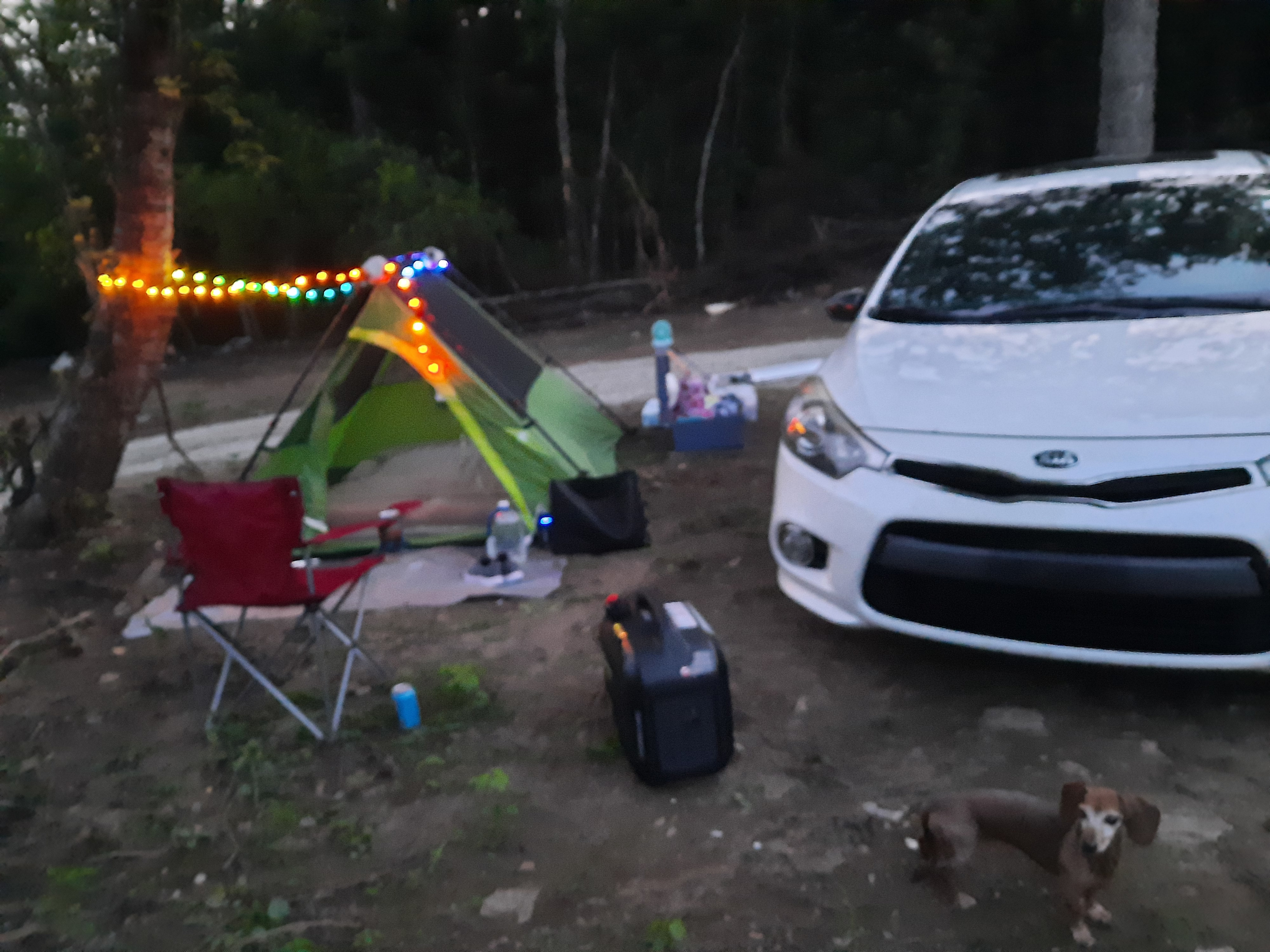 I've been working on making this place a safe haven for campers for over one year now. A large amount of clearing has been done=sunlight for solar!