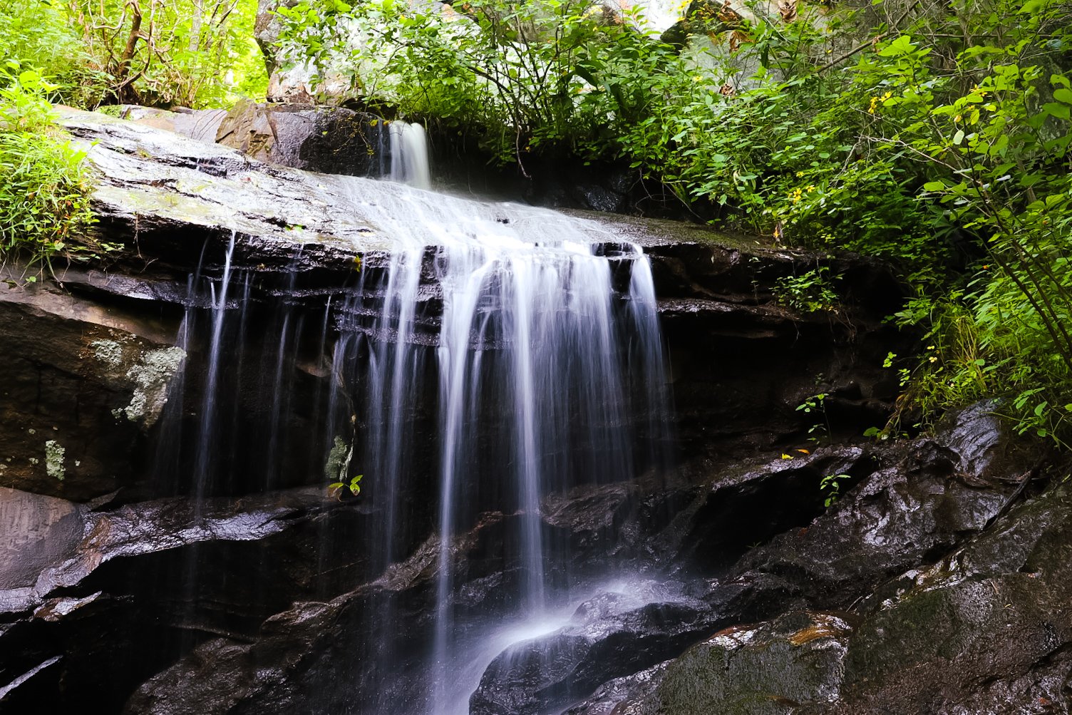 Hoot Owl Falls in the morning light.
