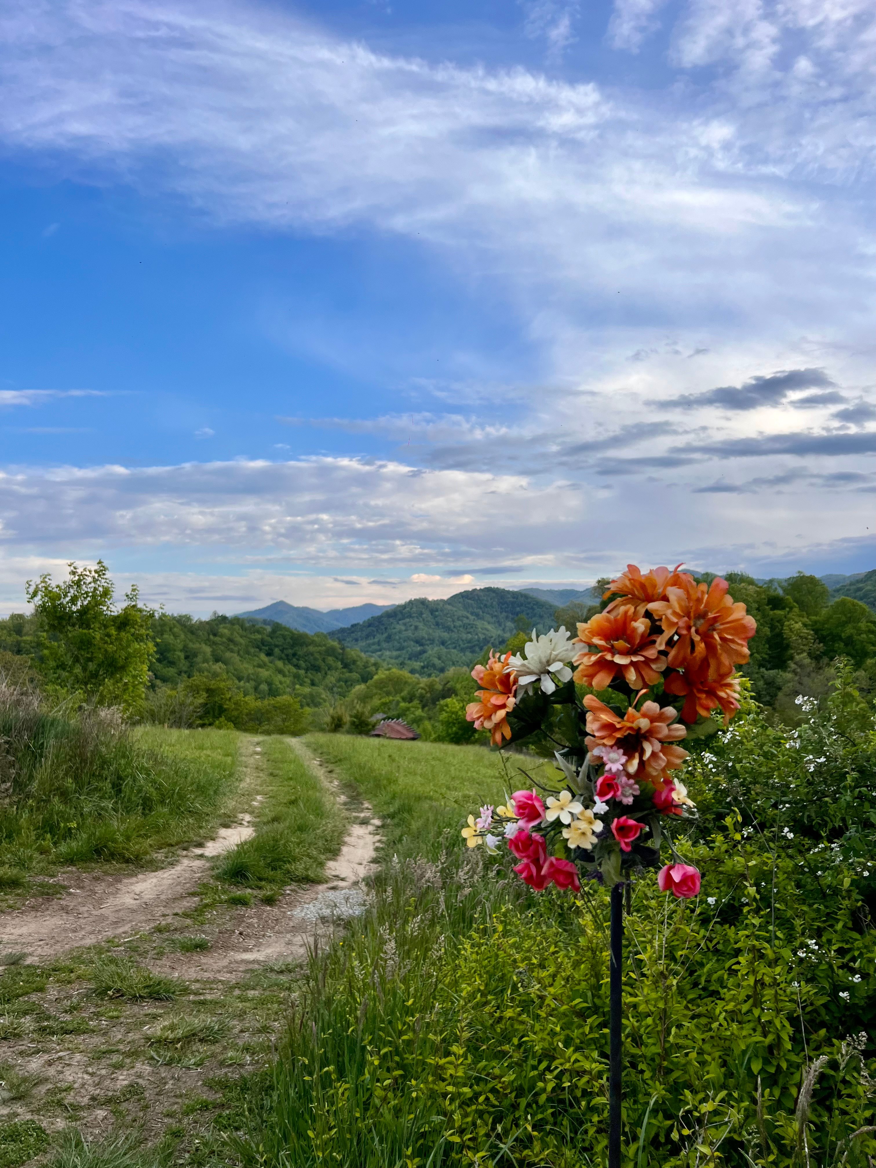 Mountain Paradise