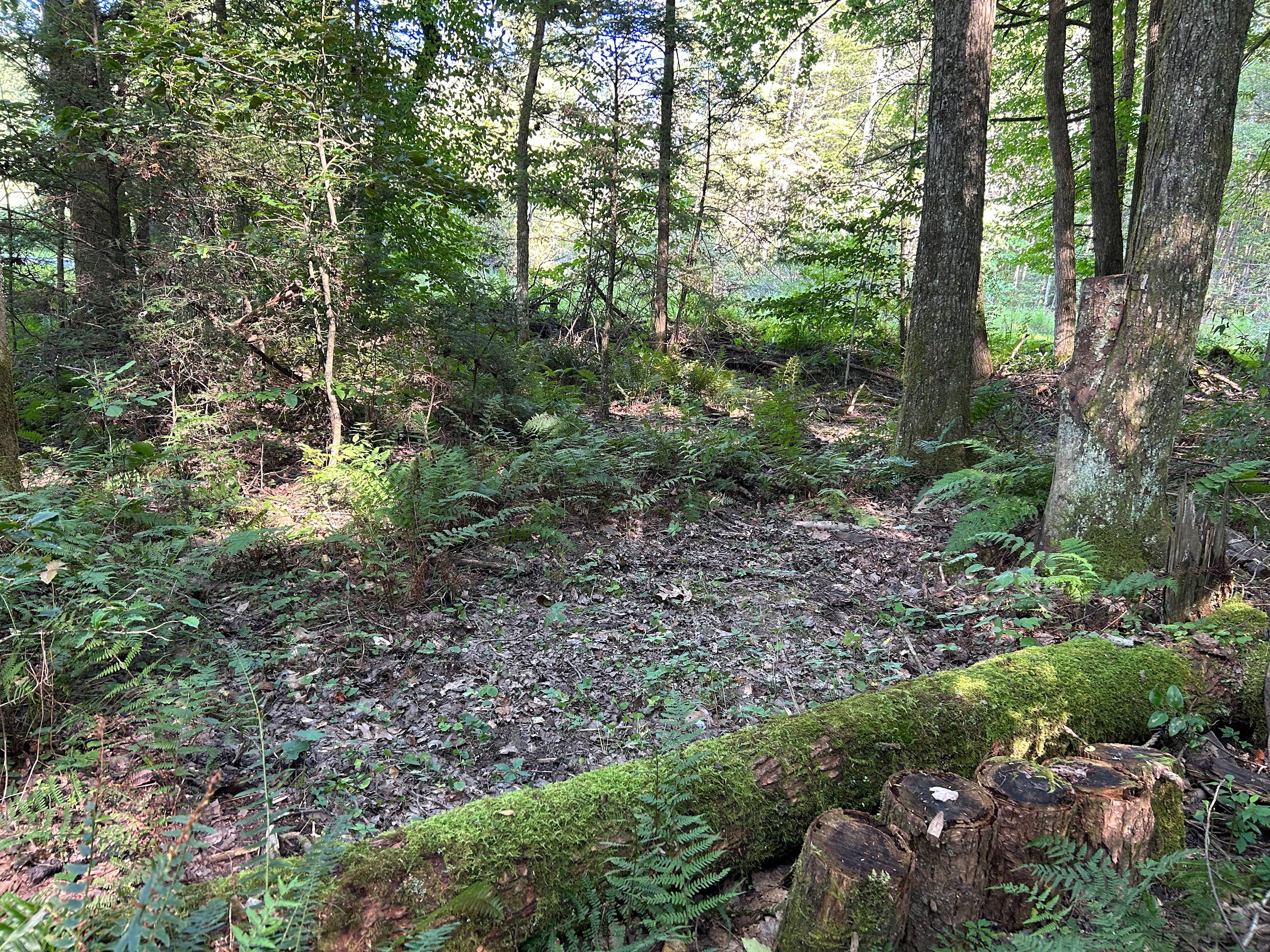 Flat tent site