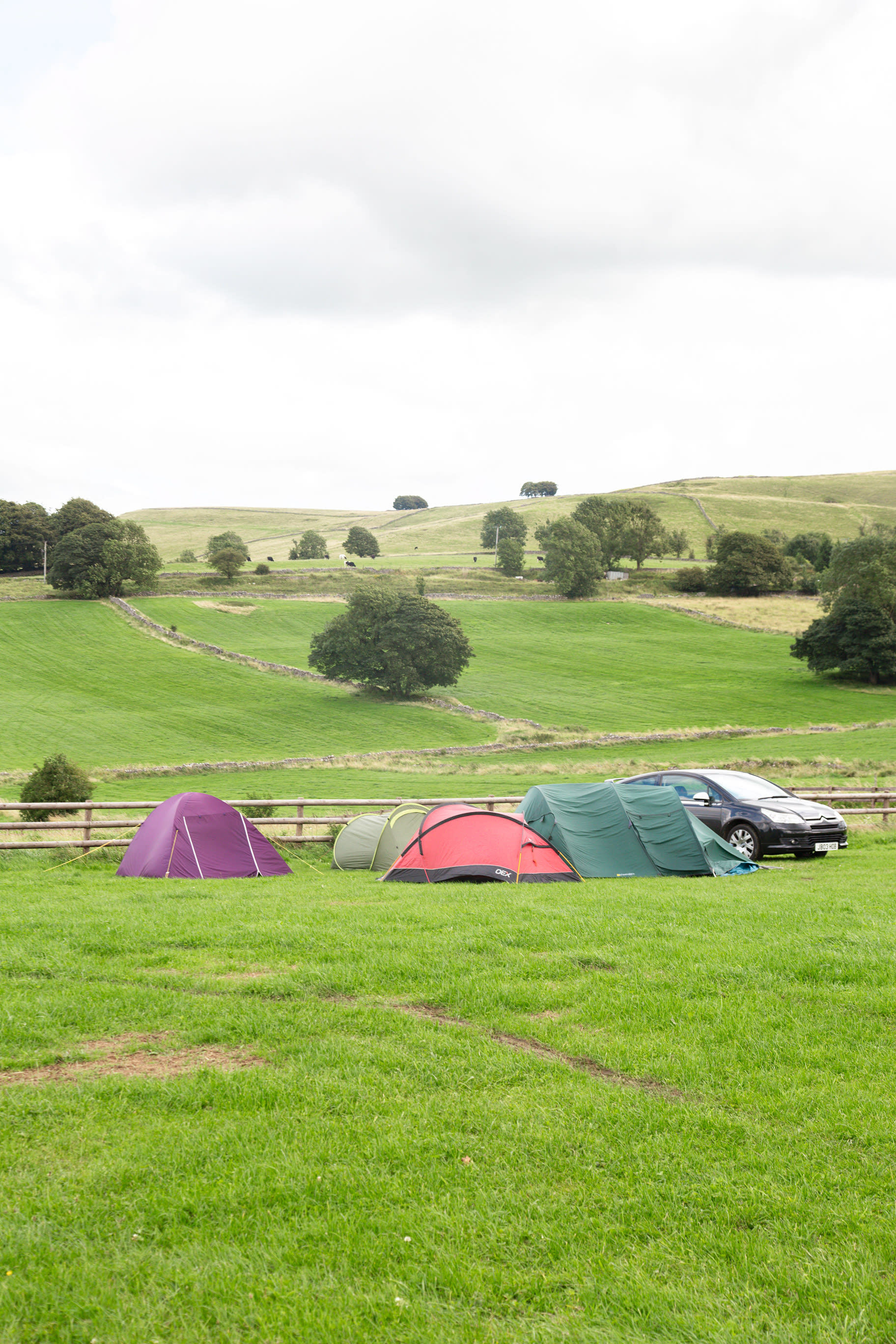 Tent pitches
